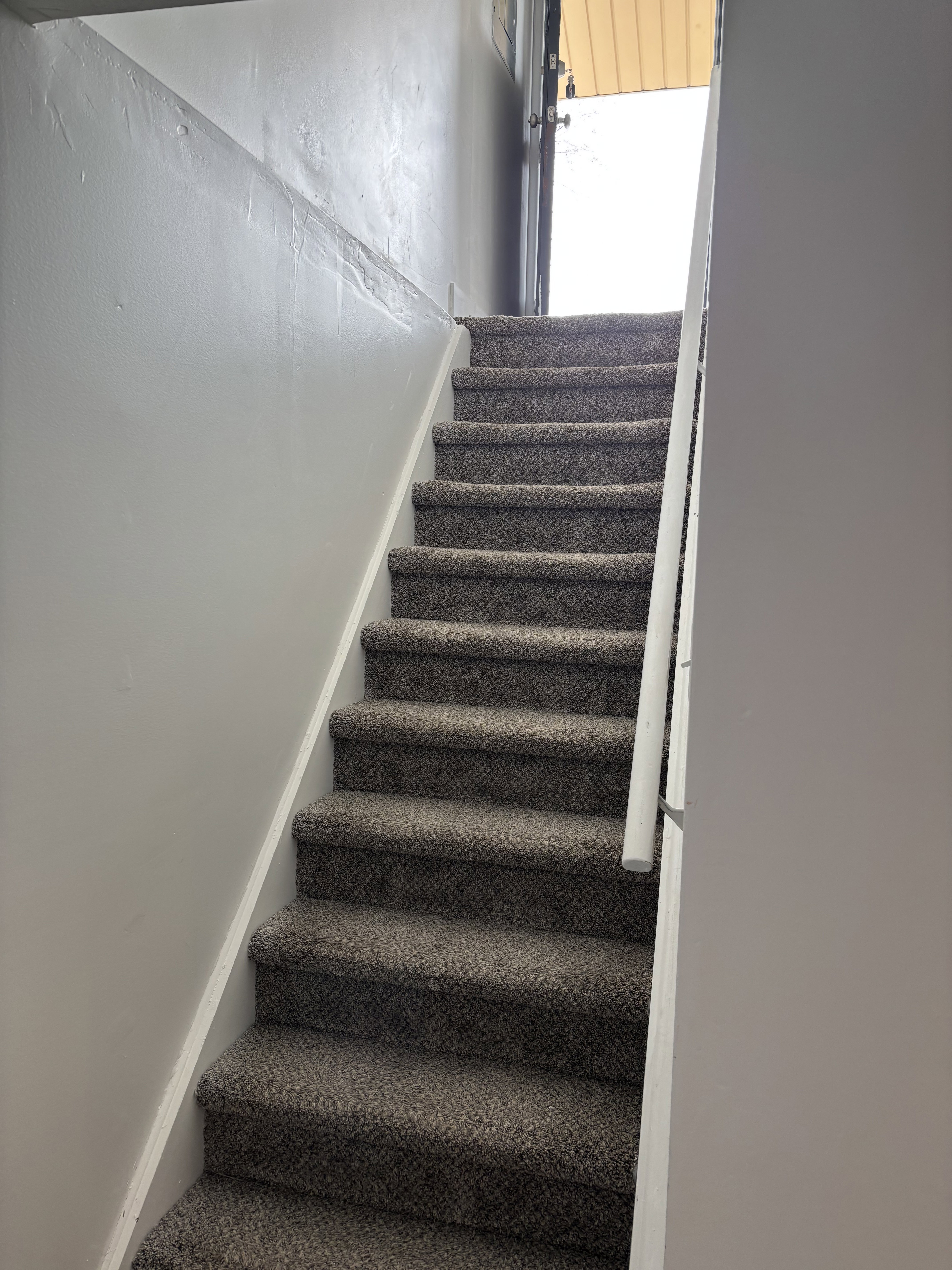 Carpeted staircase featuring a light gray wall and white trim looking up from basement.