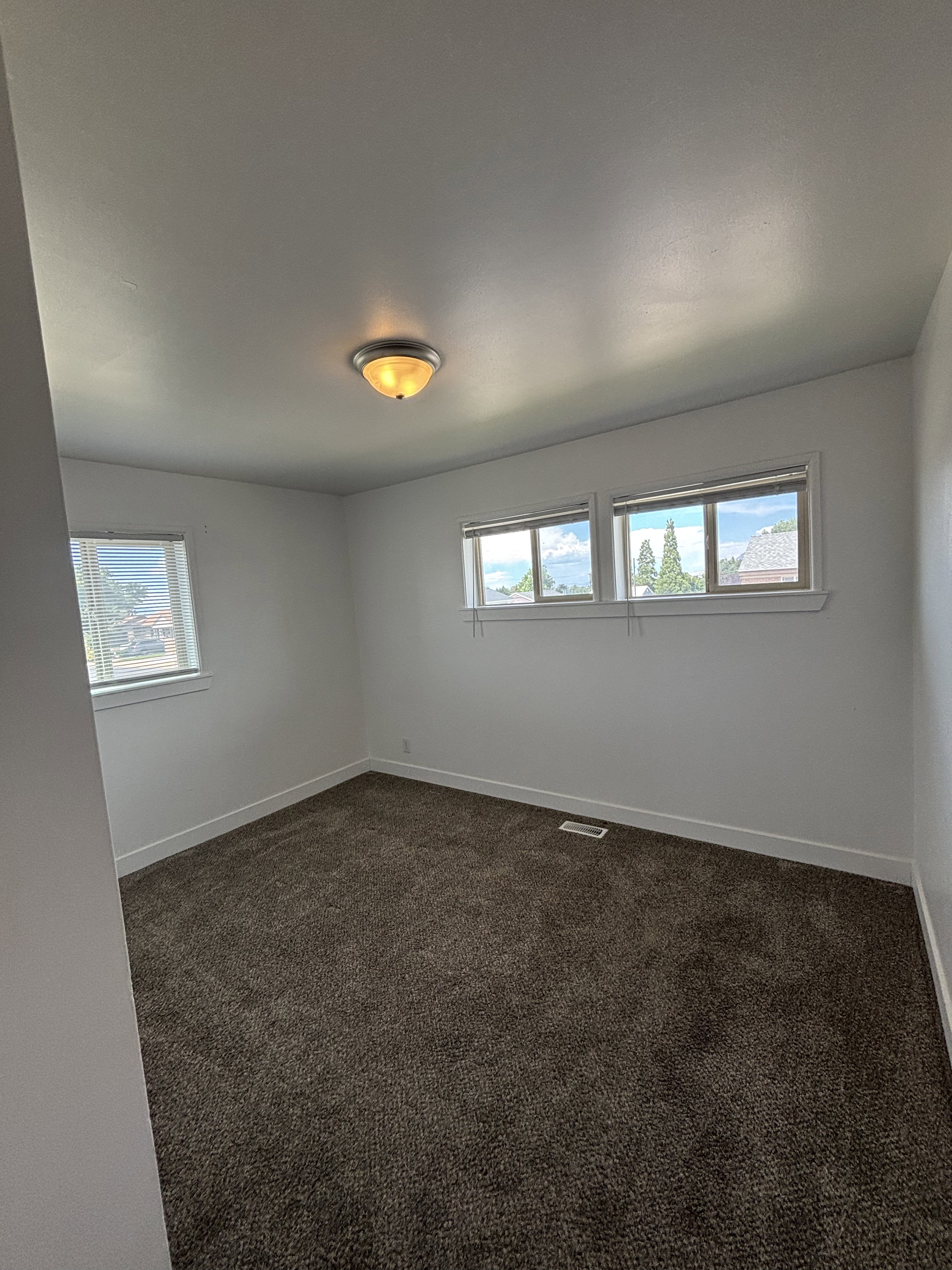 Spacious room featuring neutral carpeting, white walls, multiple windows, and a flush-mount ceiling light fixture.