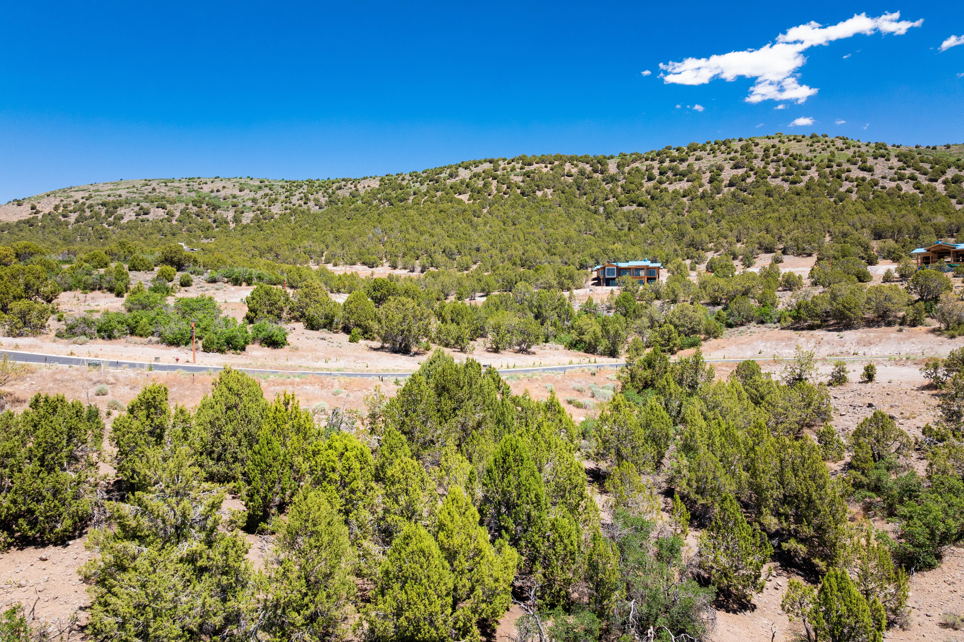 Mountain landscape featuring extensive natural vegetation and a distant structure