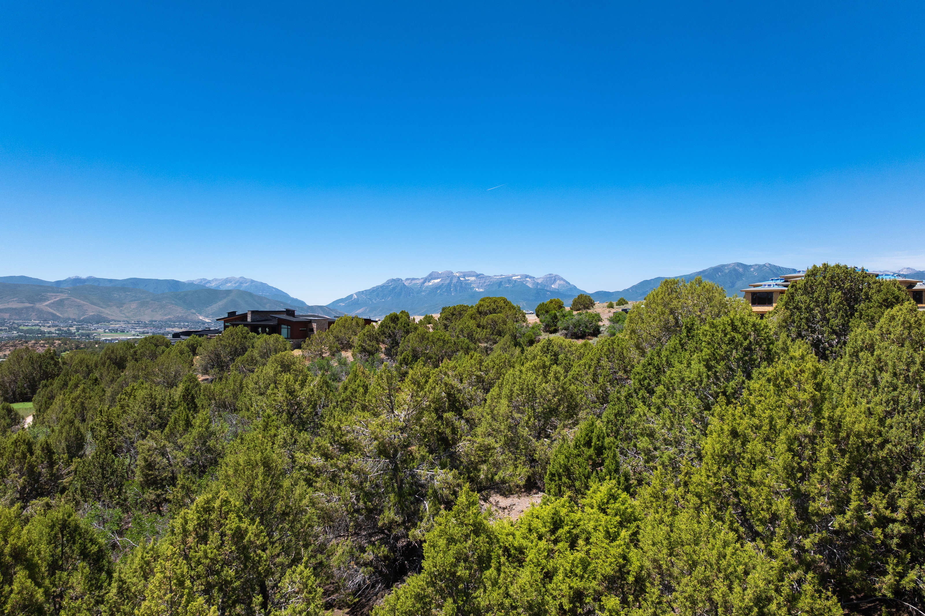 Expansive natural landscaping with mature evergreen trees, complemented by distant mountain ranges featuring snow-capped peaks