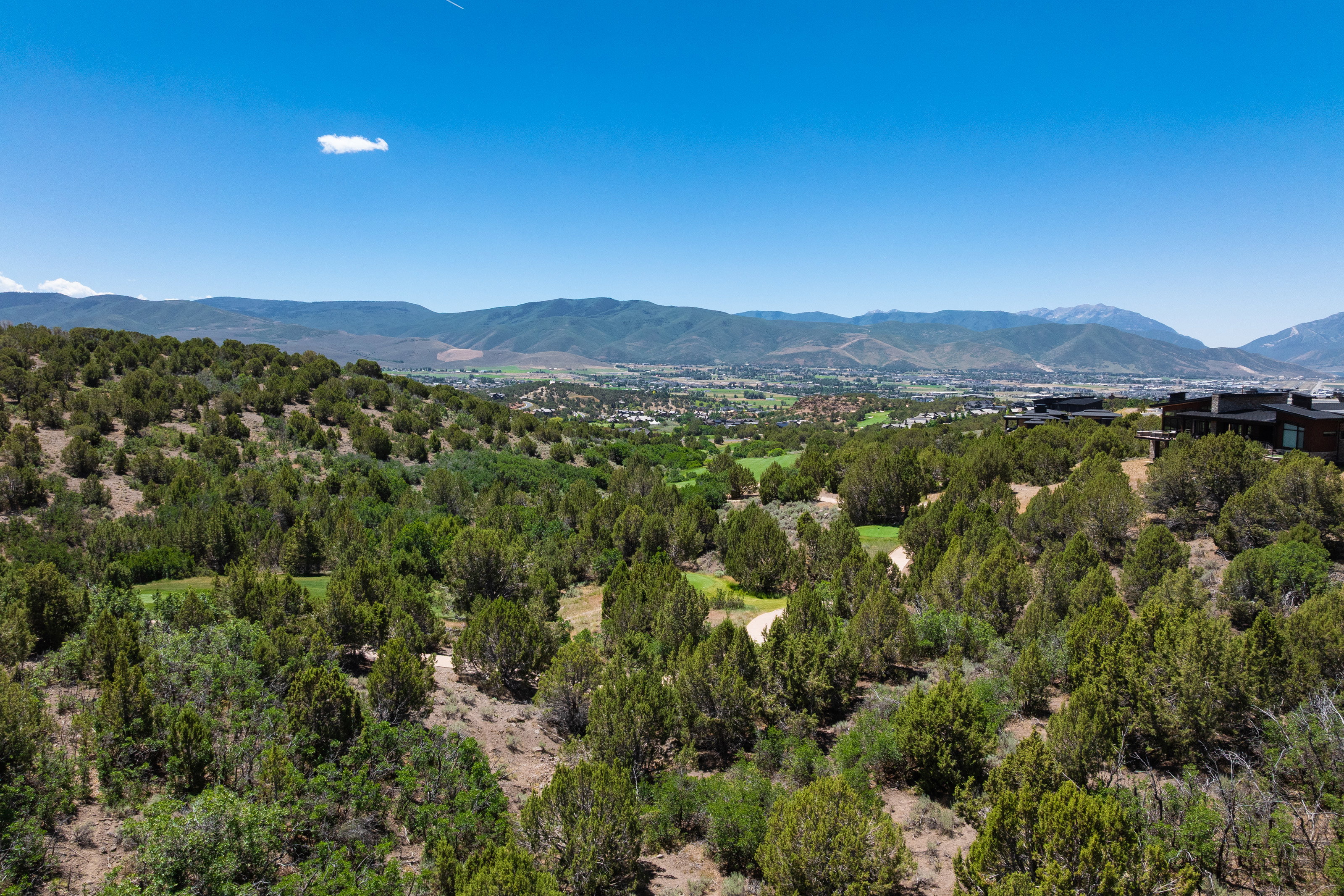 Expansive natural landscape featuring lush green foliage and distant mountains