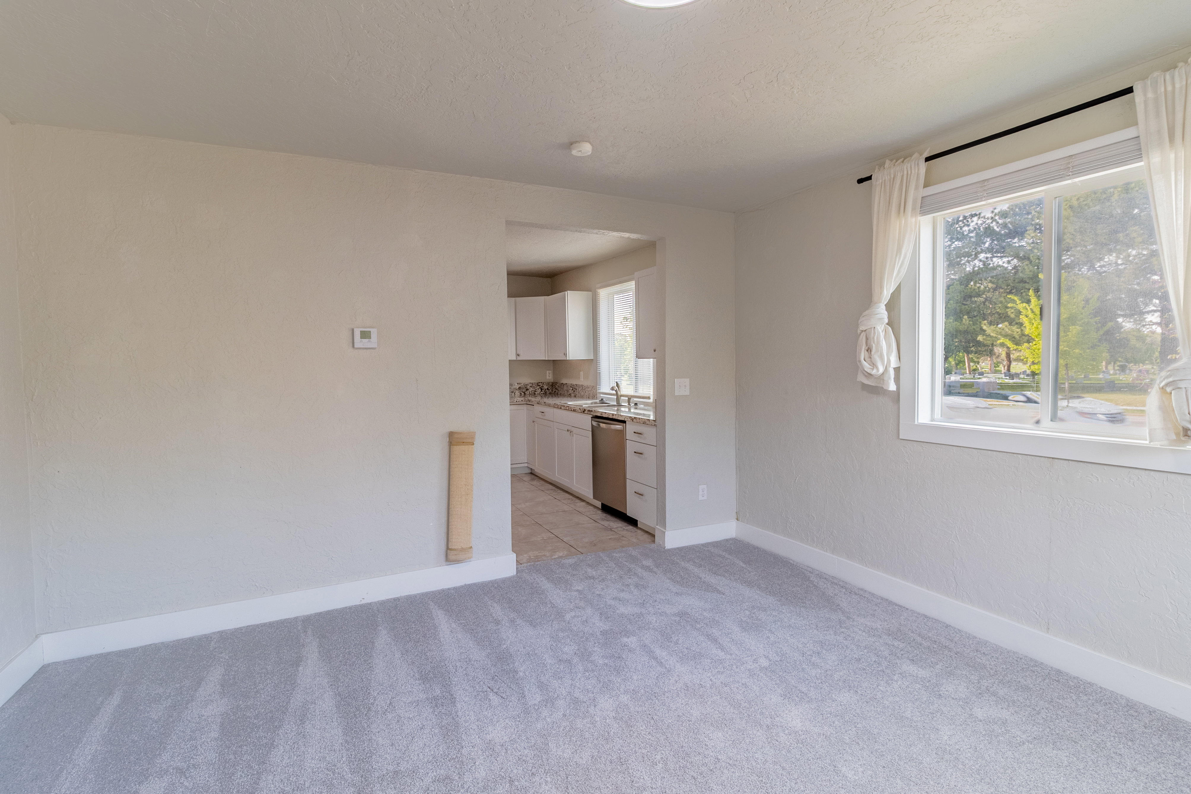 Living area featuring light gray carpet flooring, white baseboards, and a large window with white trim