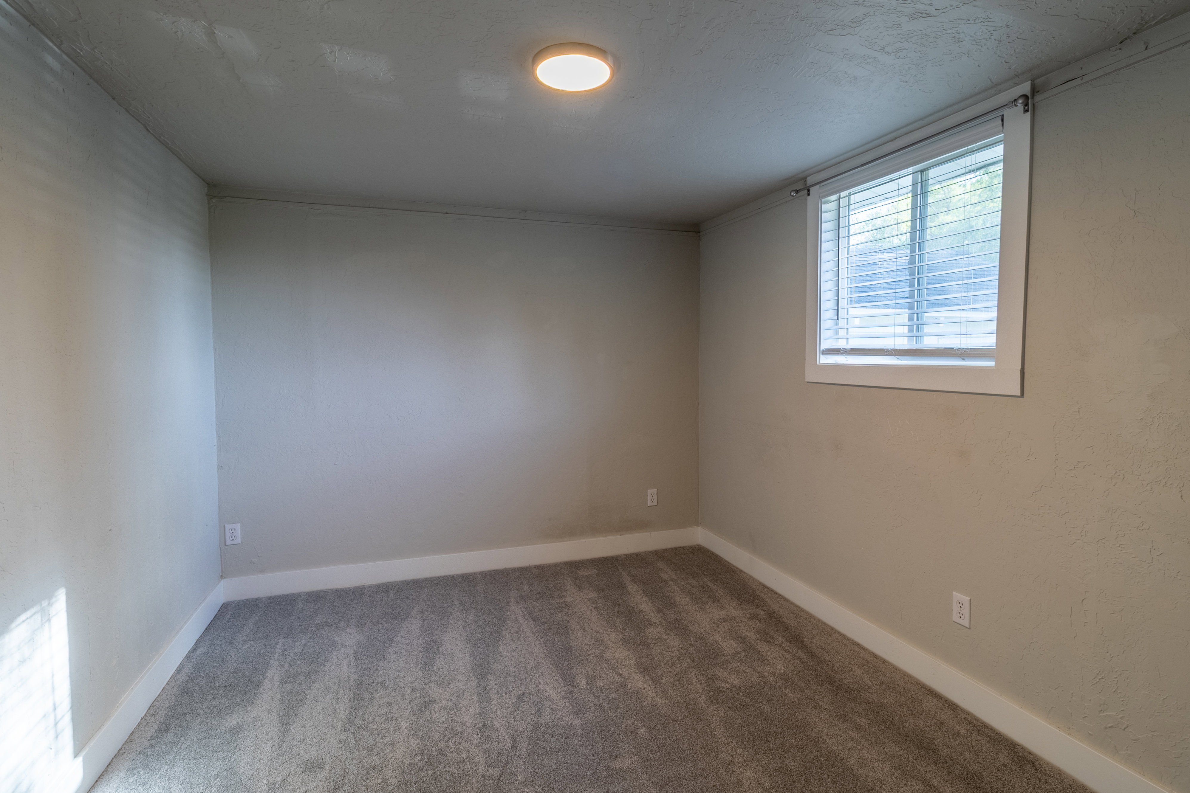 Room featuring carpet flooring, neutral-toned walls, a single window with blinds, and a ceiling-mounted light fixture