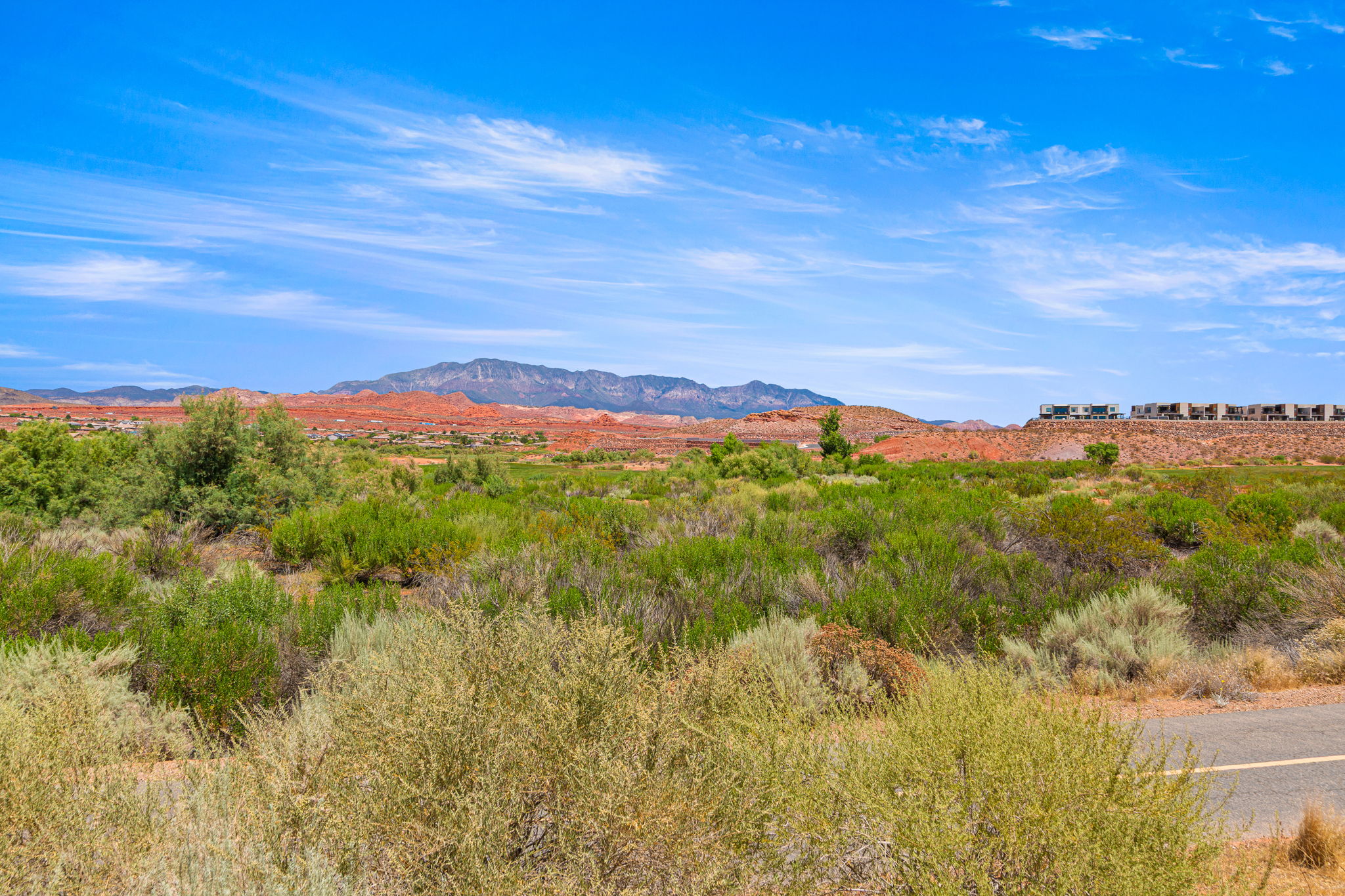 Expansive natural landscape with varied desert flora, distant red rock formations, and a mountainous backdrop under a clear blue sky
