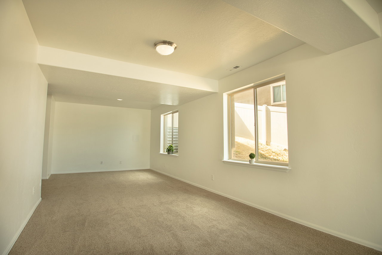 Family Room Basement