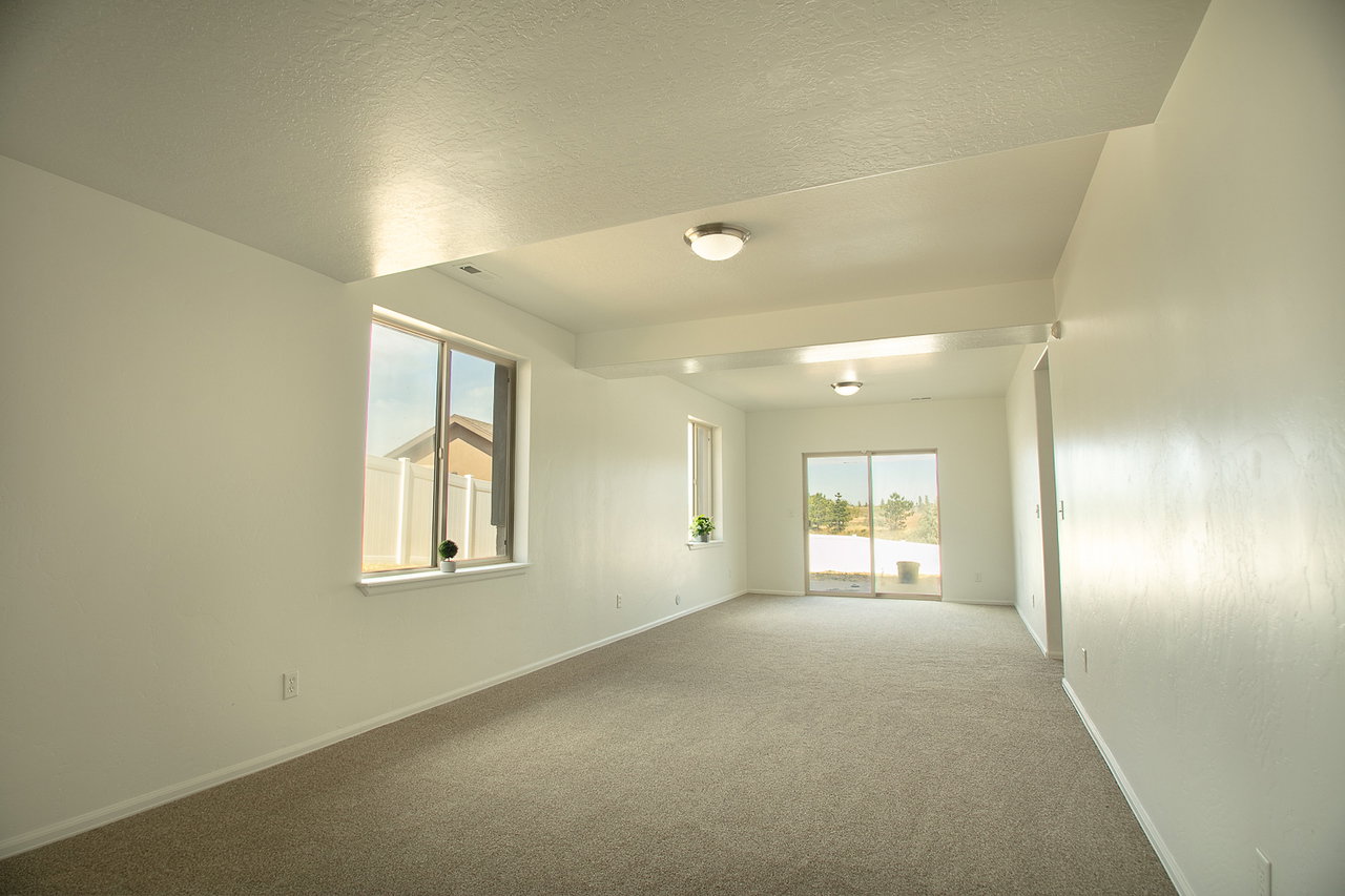 Family Room Basement