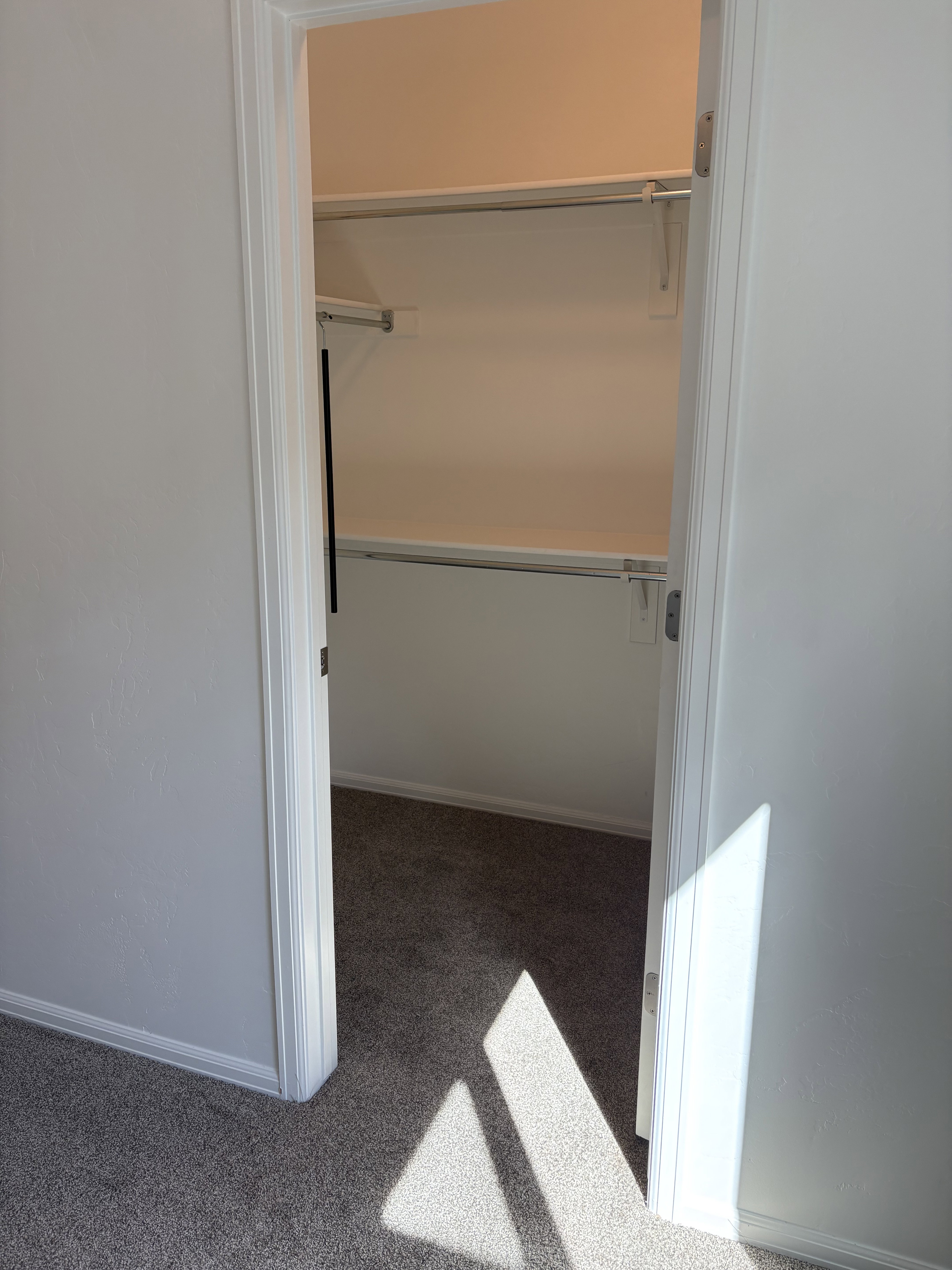 Walk-in closet with built-in shelving and hanging rods