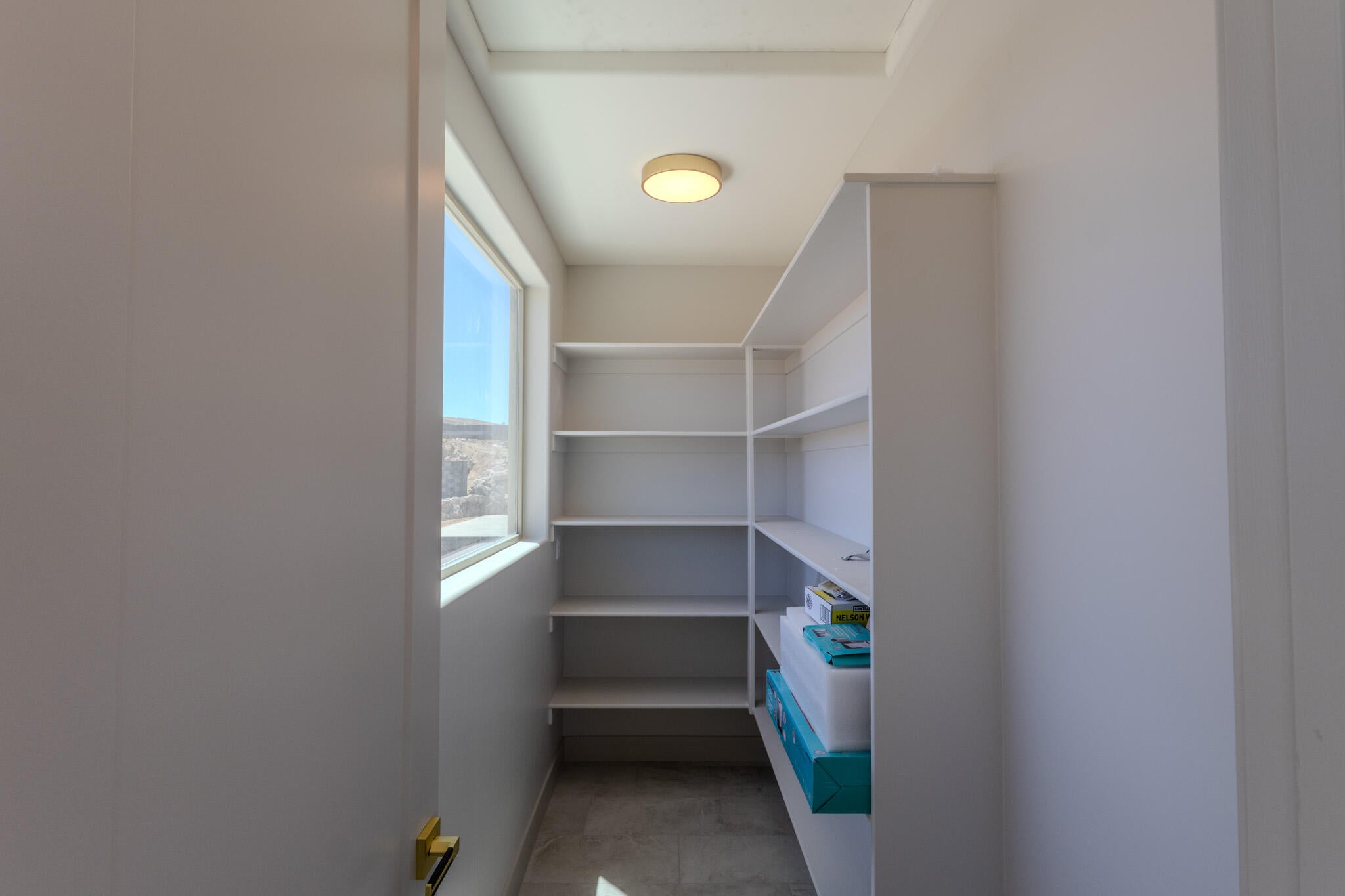 Walk-in pantry featuring built-in shelving, a natural light window, and overhead flush-mount lighting