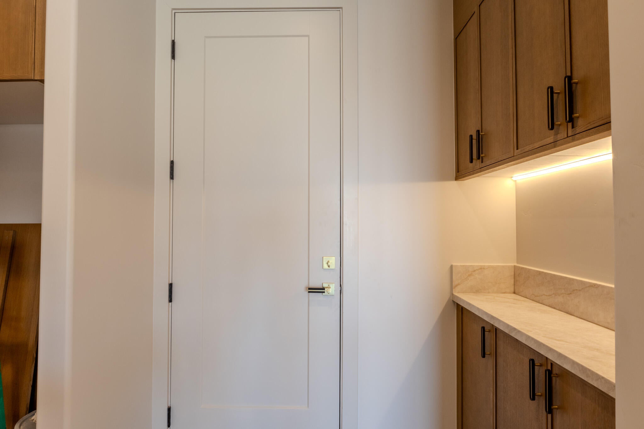 White shaker-style door with contemporary hardware, complemented by built-in wood-finish cabinetry