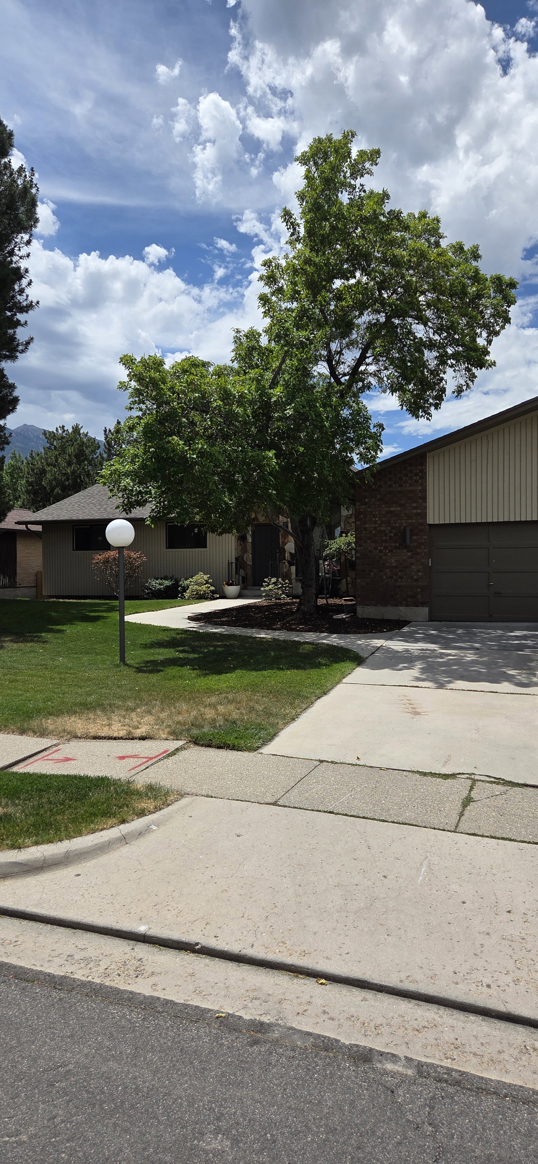 Well-established front yard featuring mature trees and a manicured lawn