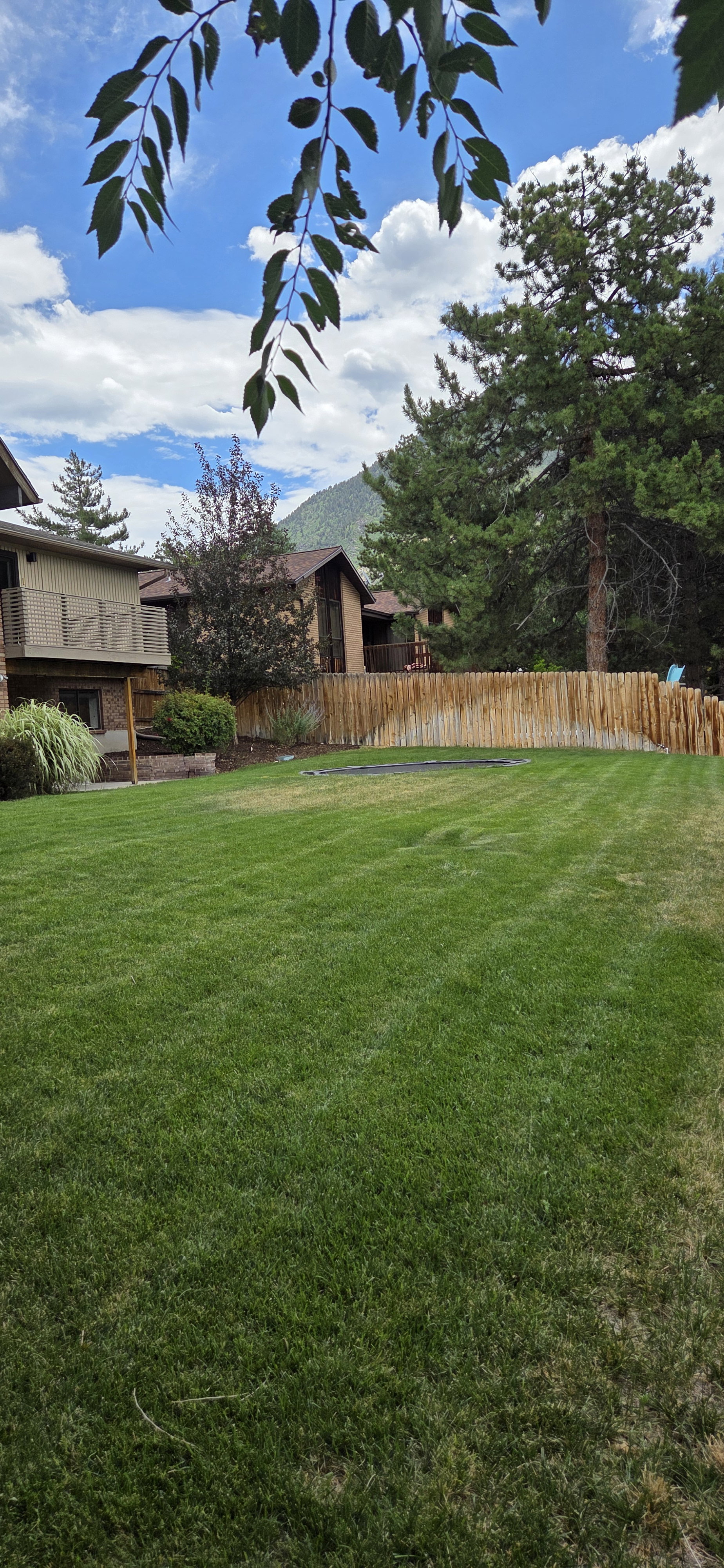 Expansive lawn featuring perimeter fencing and established landscaping