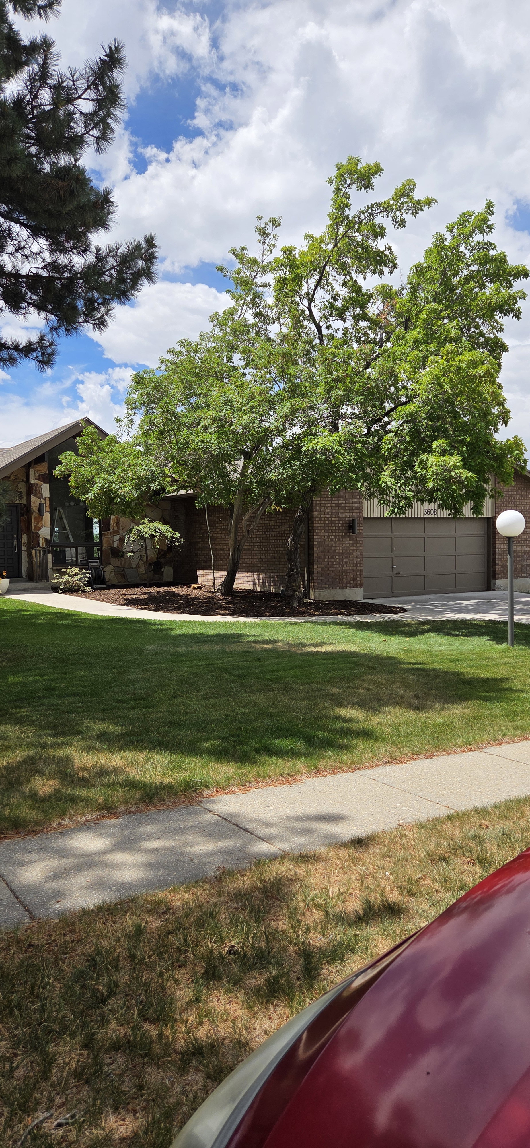 Brick exterior with an integrated garage and a front walkway