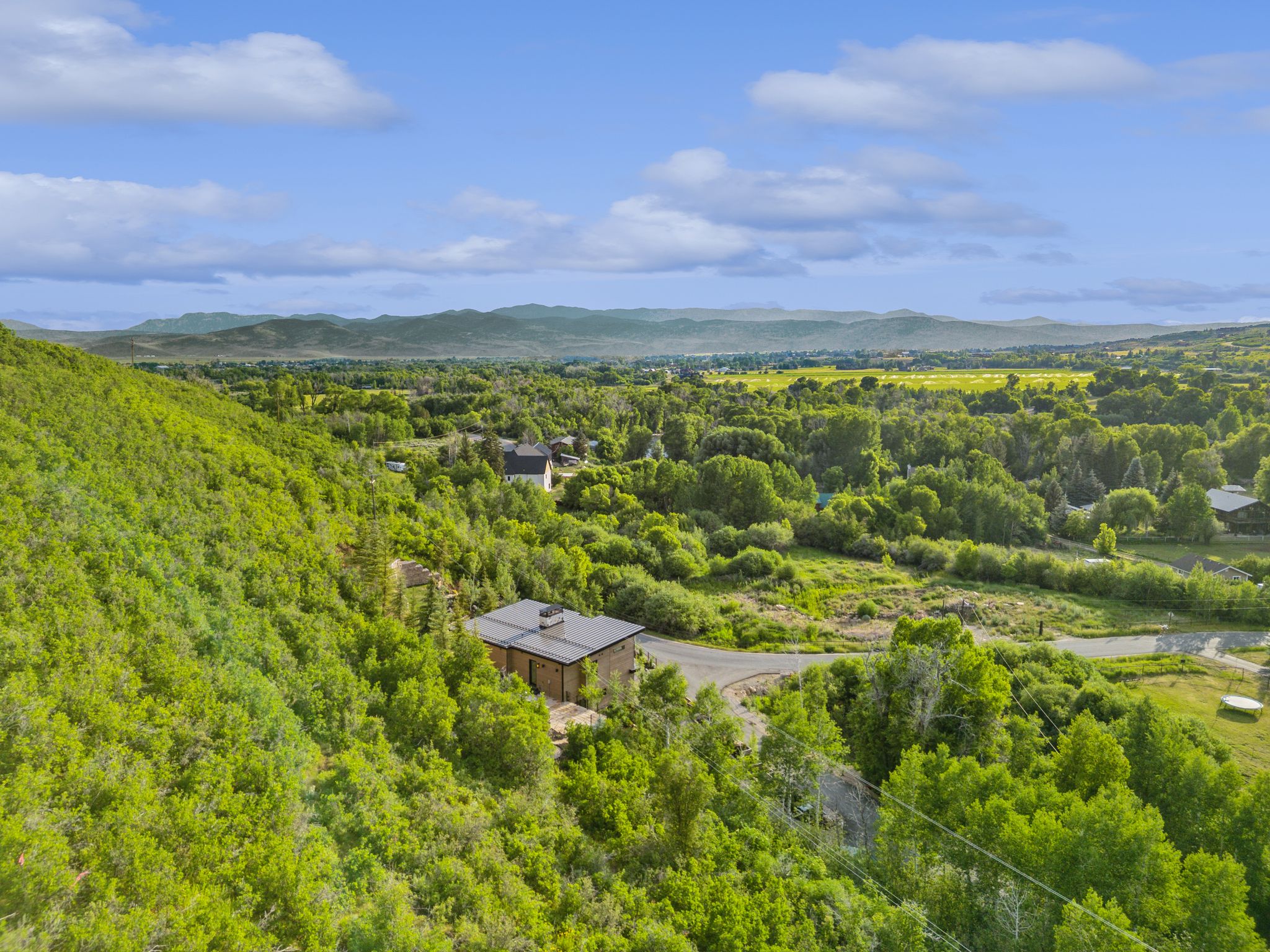 Modern structure nestled on a hillside with extensive surrounding mature trees