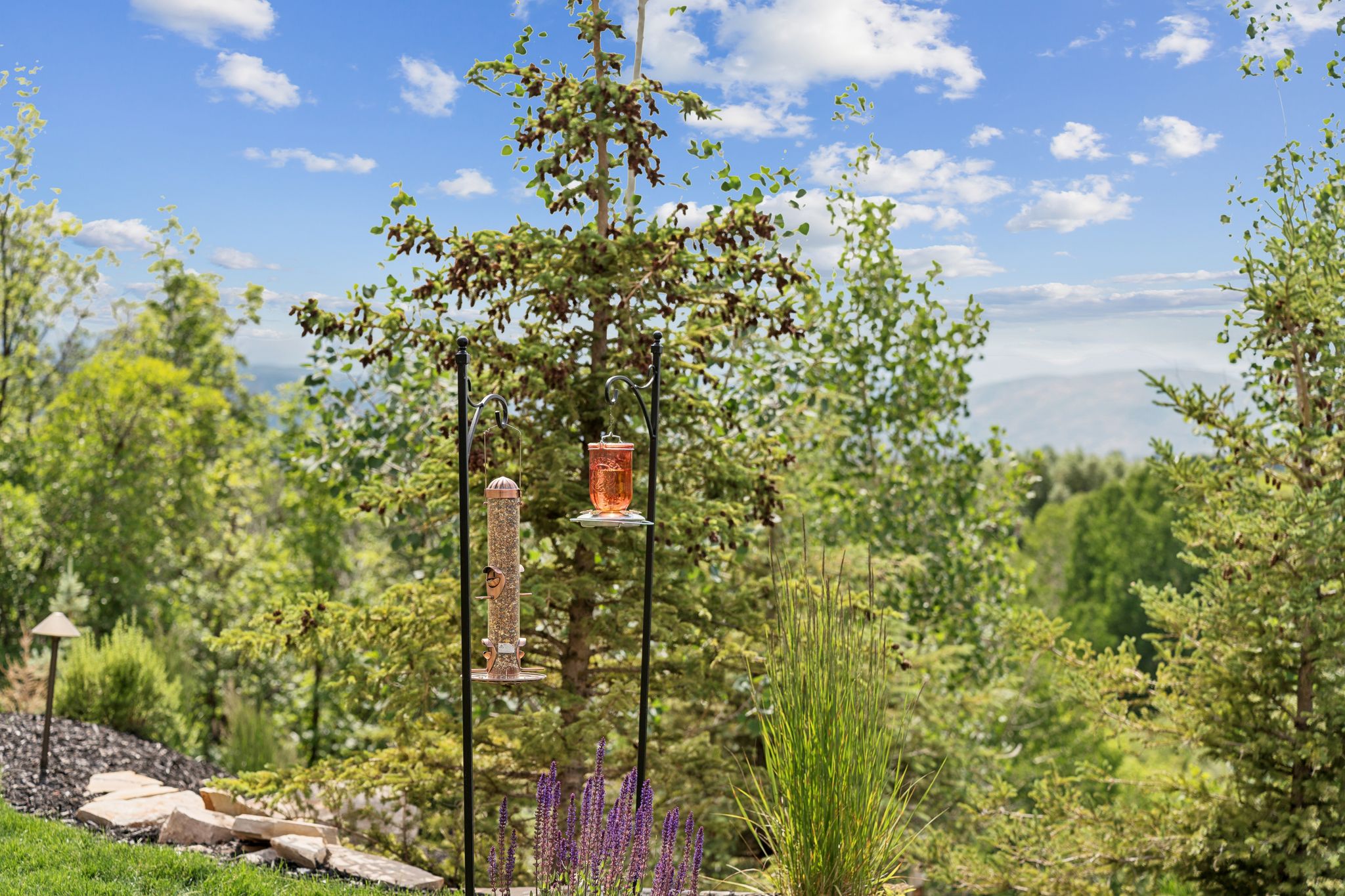 Elevated outdoor space featuring lush greenery, mature trees, and natural stone landscaping