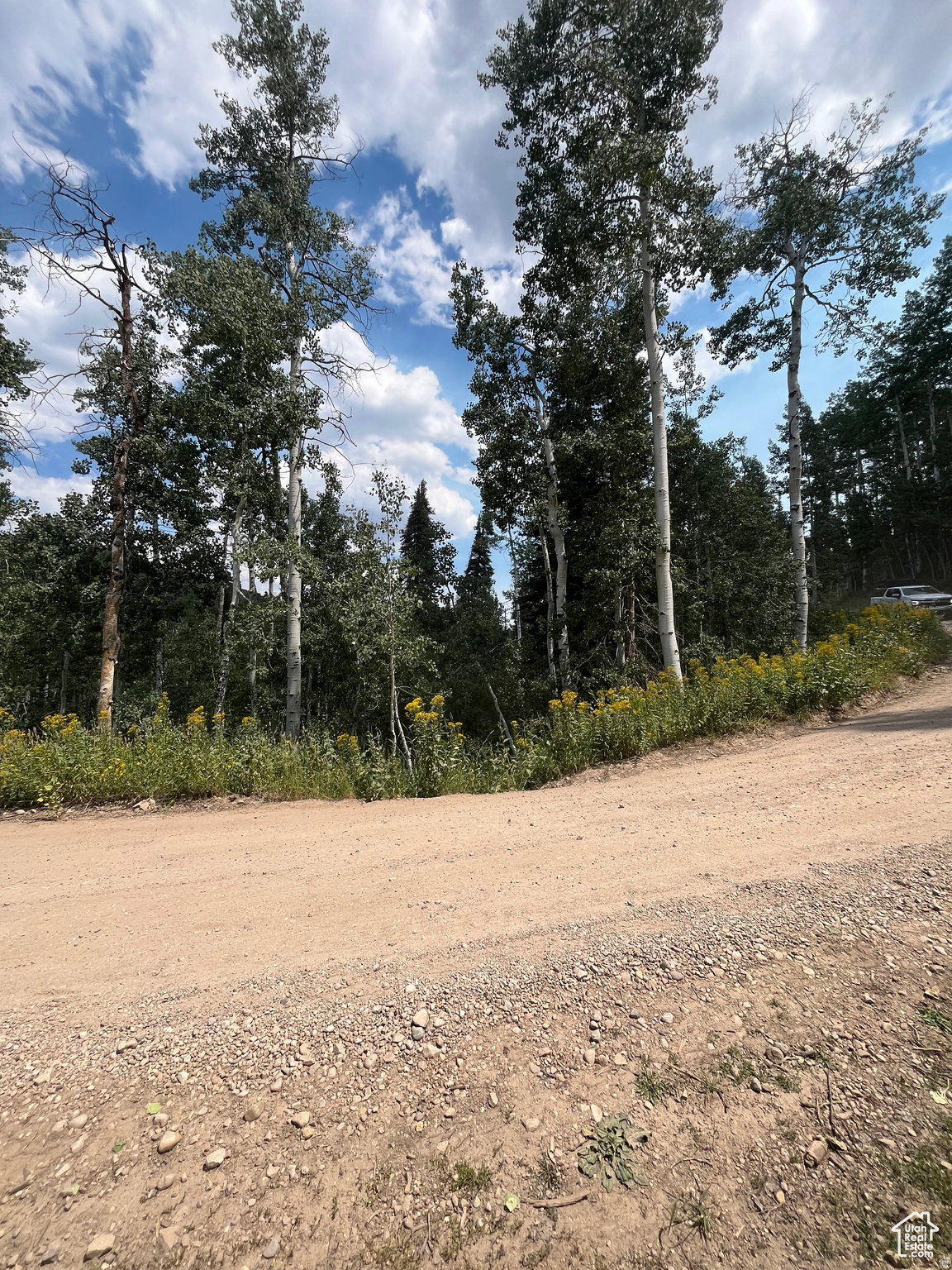 Gravel road winding through a treed landscape