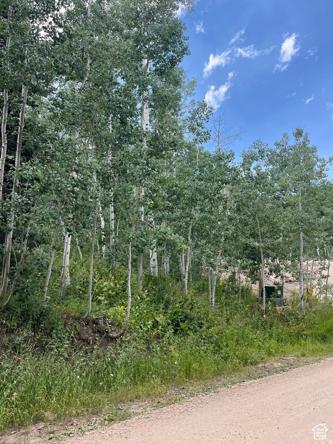 Wooded property featuring a dense stand of deciduous trees