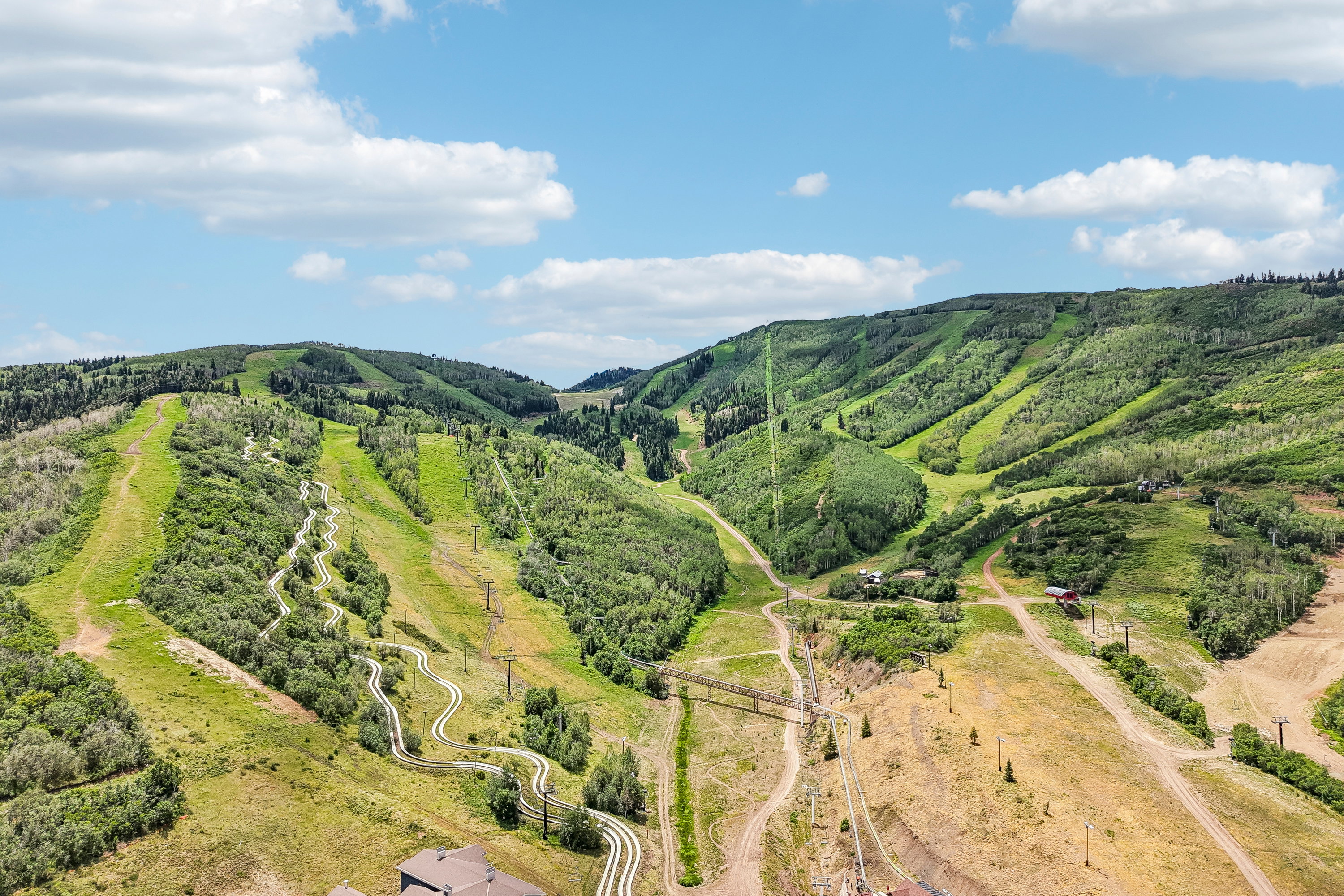 Expansive mountain terrain featuring multiple ski runs and verdant tree coverage