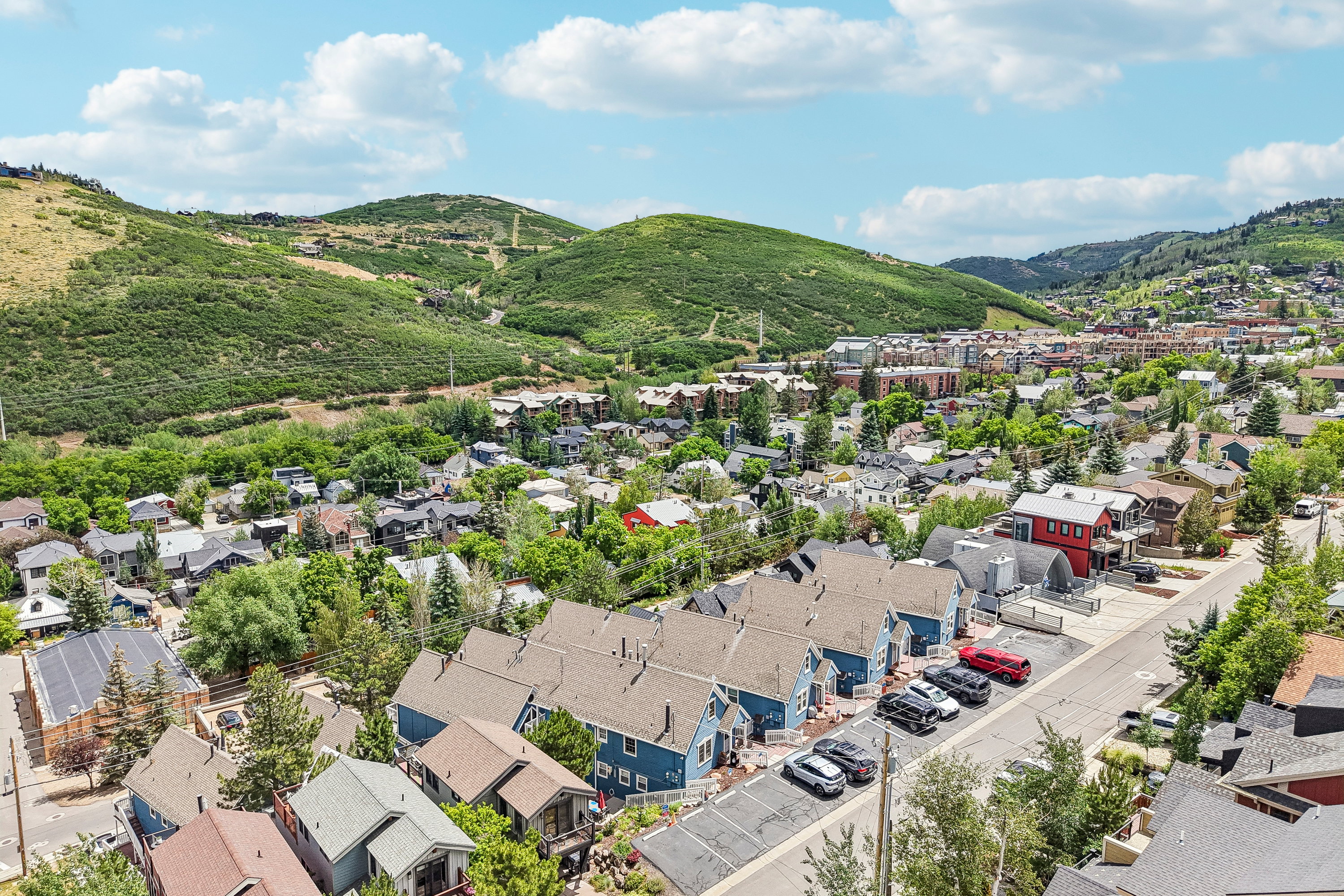 Residential neighborhood featuring varied architectural styles and abundant mature trees