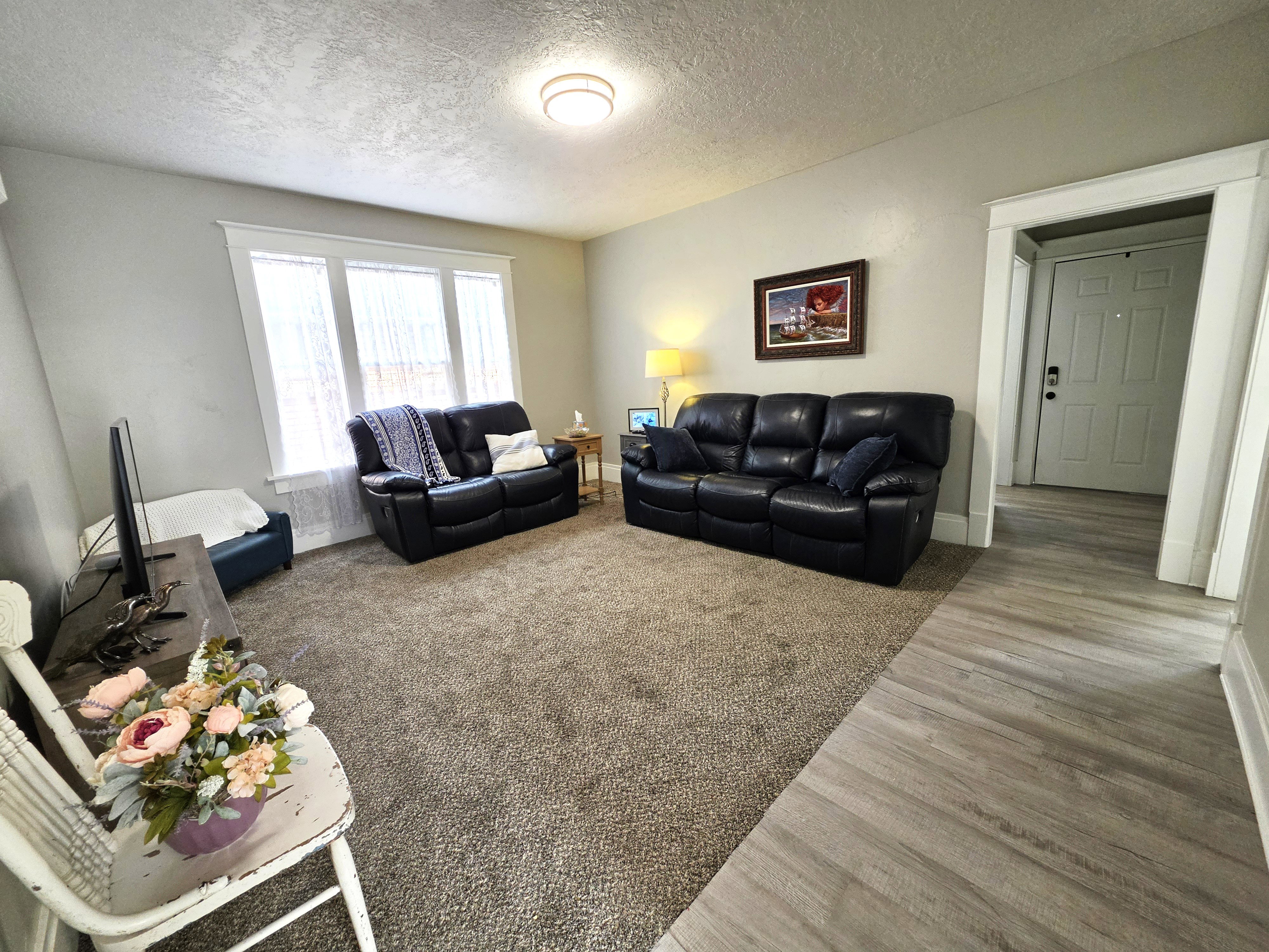 Carpeted living area featuring a large multi-pane window with white trim, light gray wall paint, and a ceiling-mounted light fixture