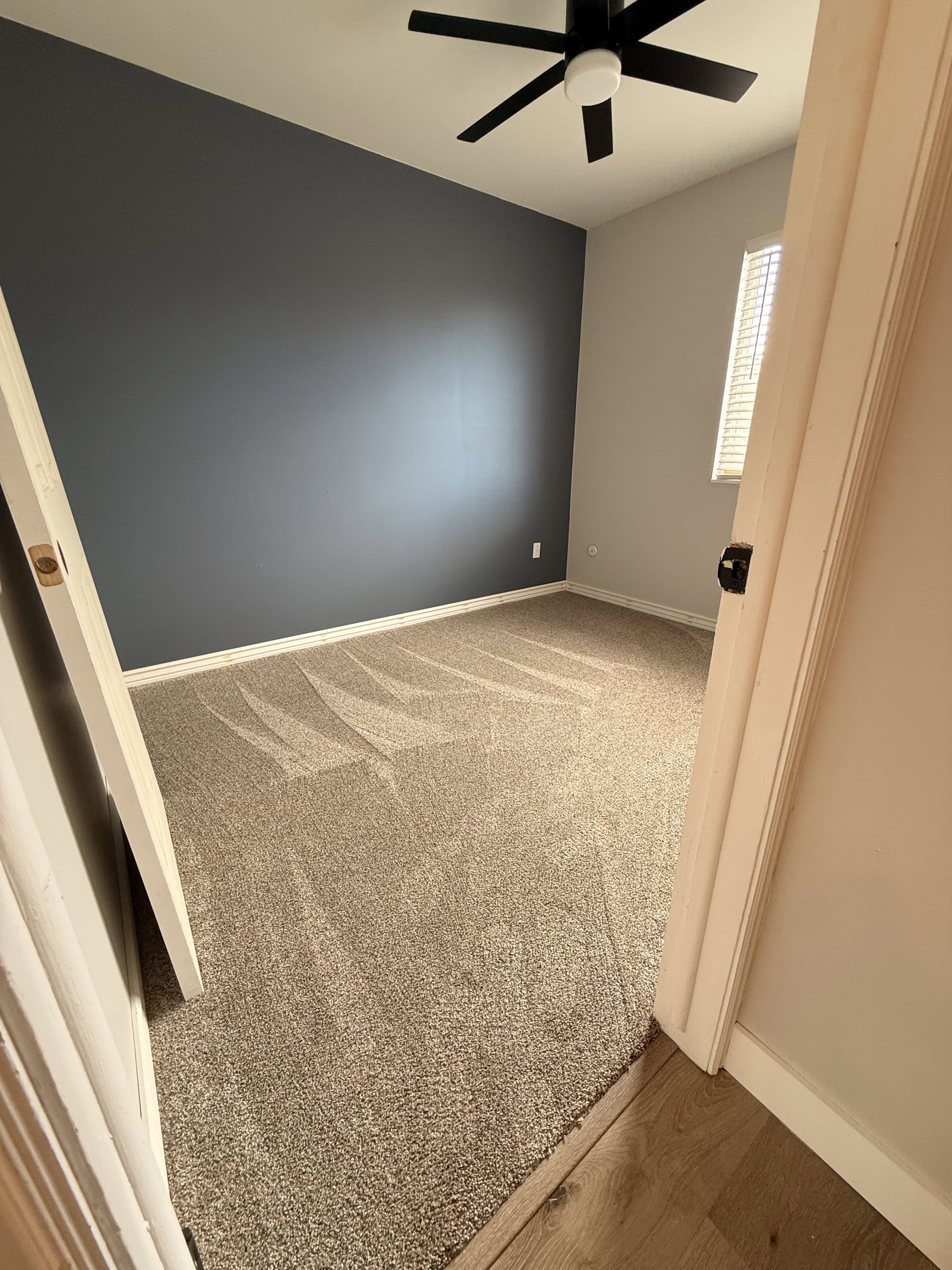 Carpeted room featuring a matte black ceiling fan with integrated lighting, a dark accent wall, and a window with blinds