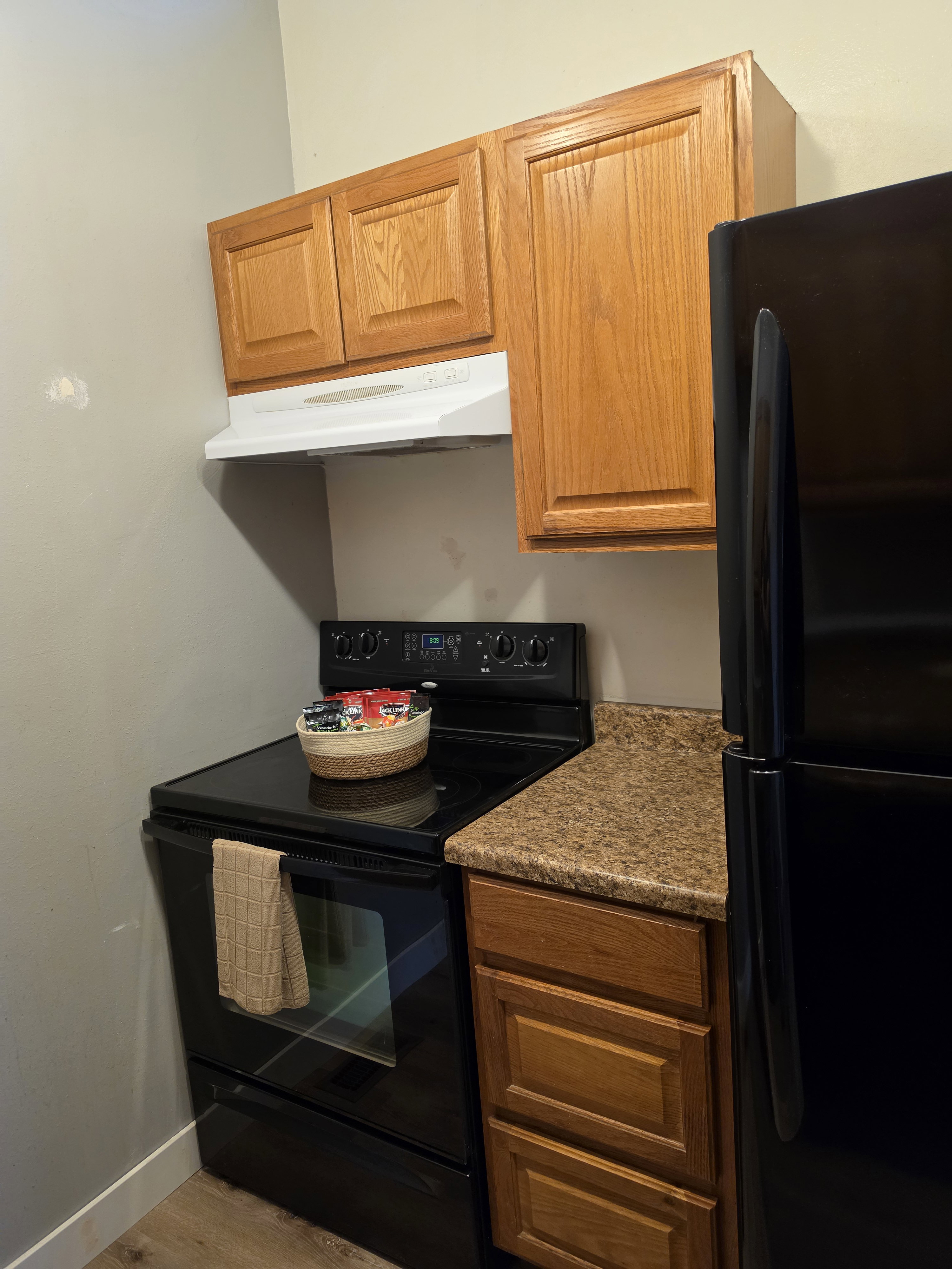 Compact kitchen area featuring wood cabinetry, a black electric range with an overhead vent hood, a black refrigerator, and a speckled countertop