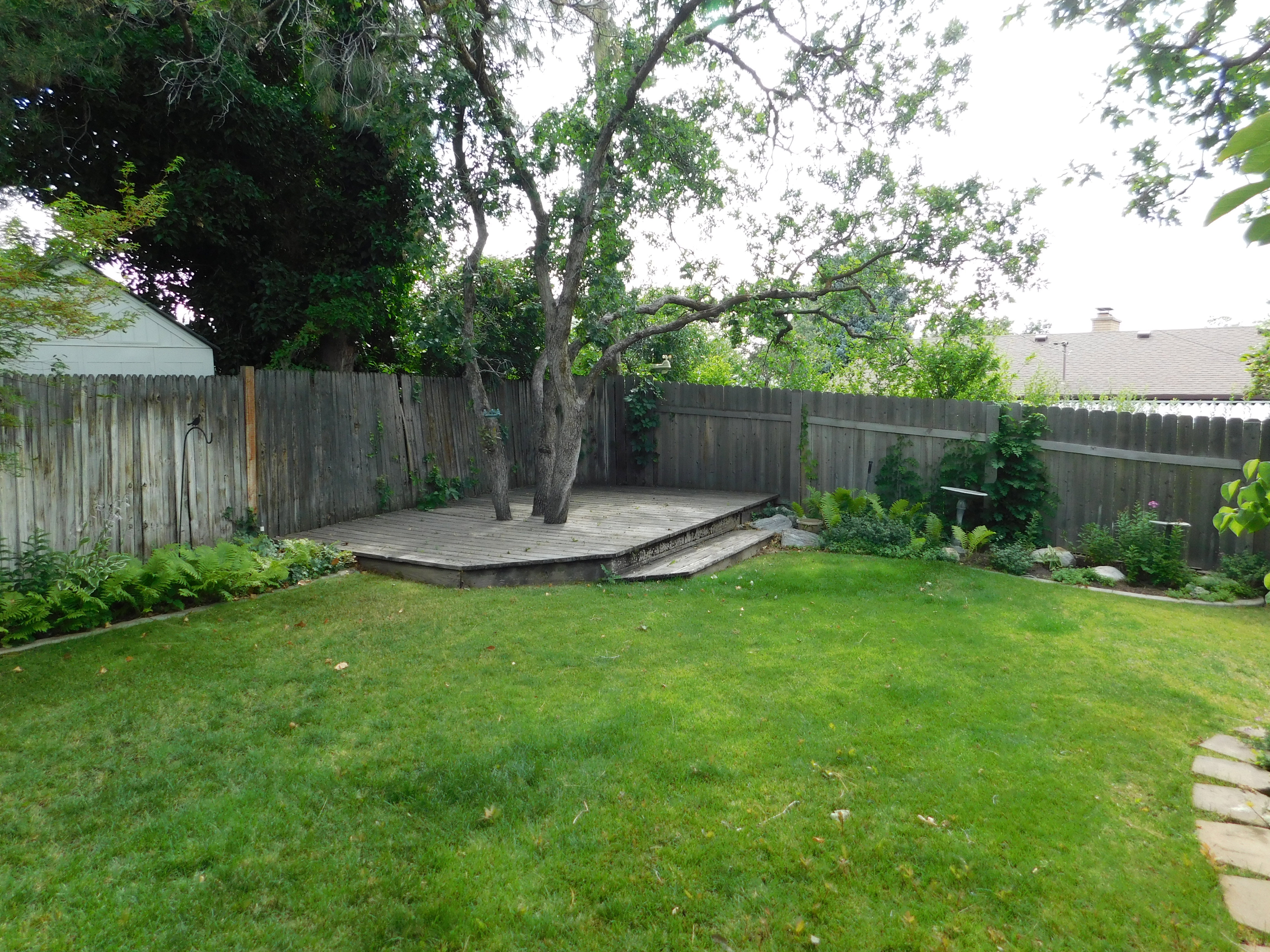 Expansive green lawn with a wood plank privacy fence
