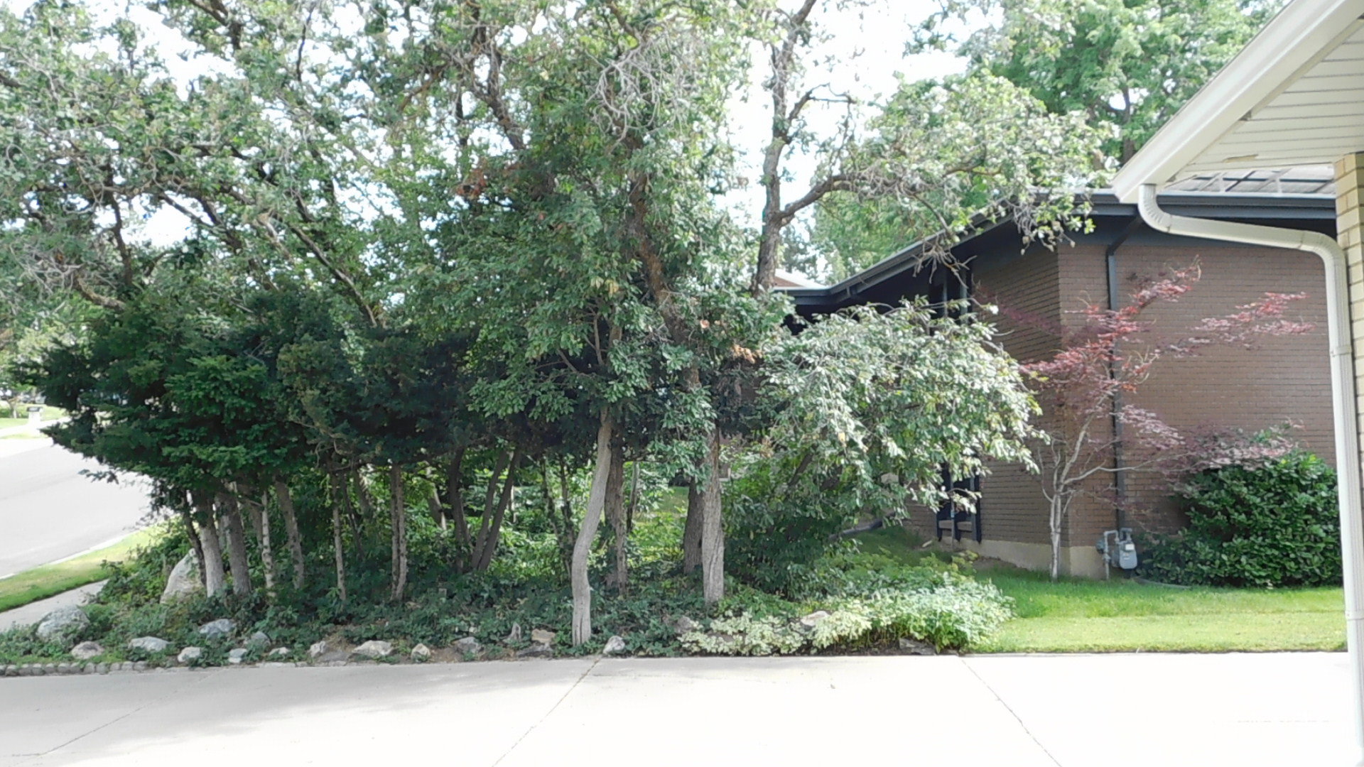 Brick exterior featuring a dark roofline, white gutters, and mature trees