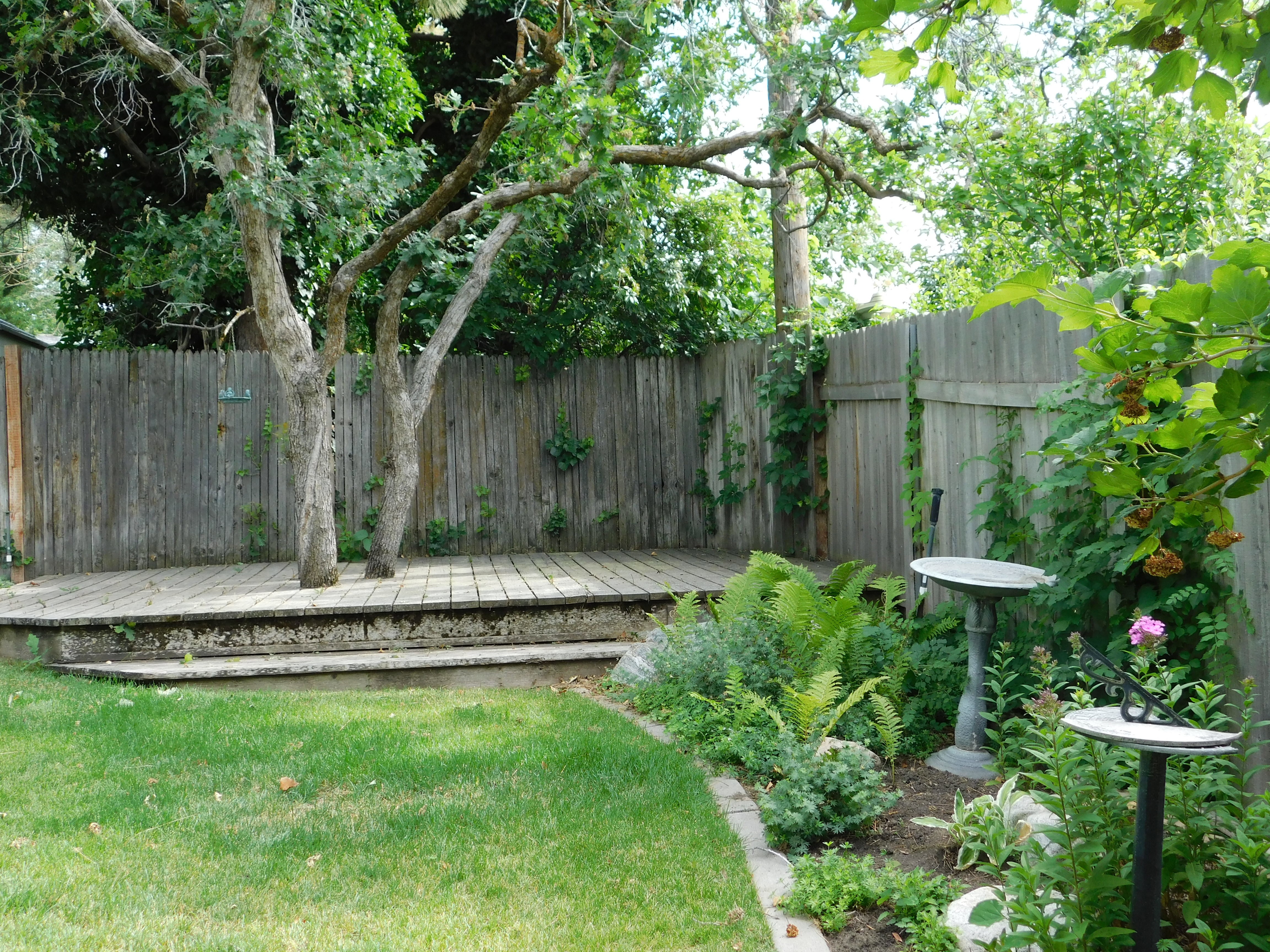 Expansive yard featuring a tiered wood deck, mature trees, manicured lawn, garden beds, and wood privacy fencing
