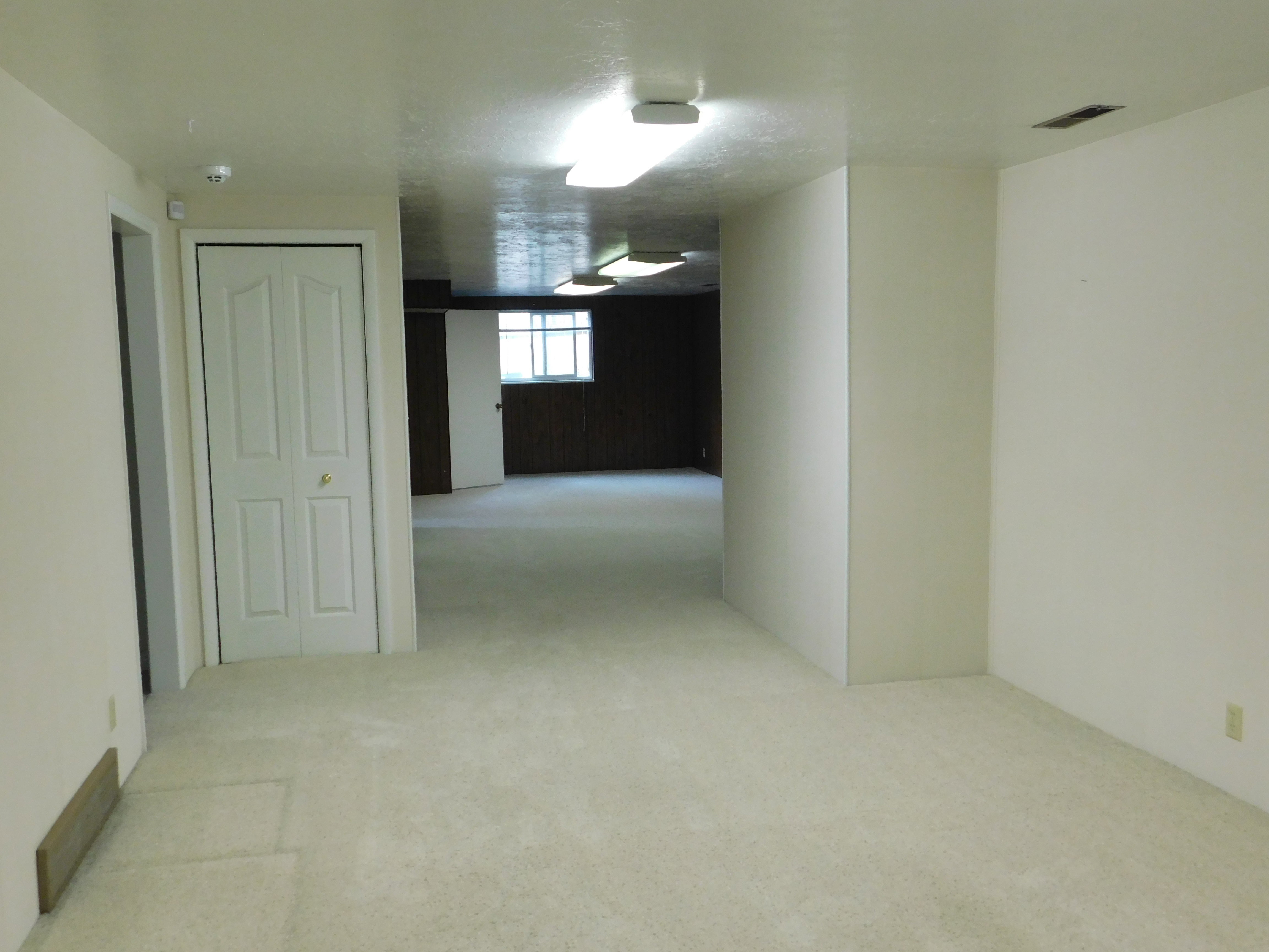 Carpeted room with light-colored walls and a bi-fold door
