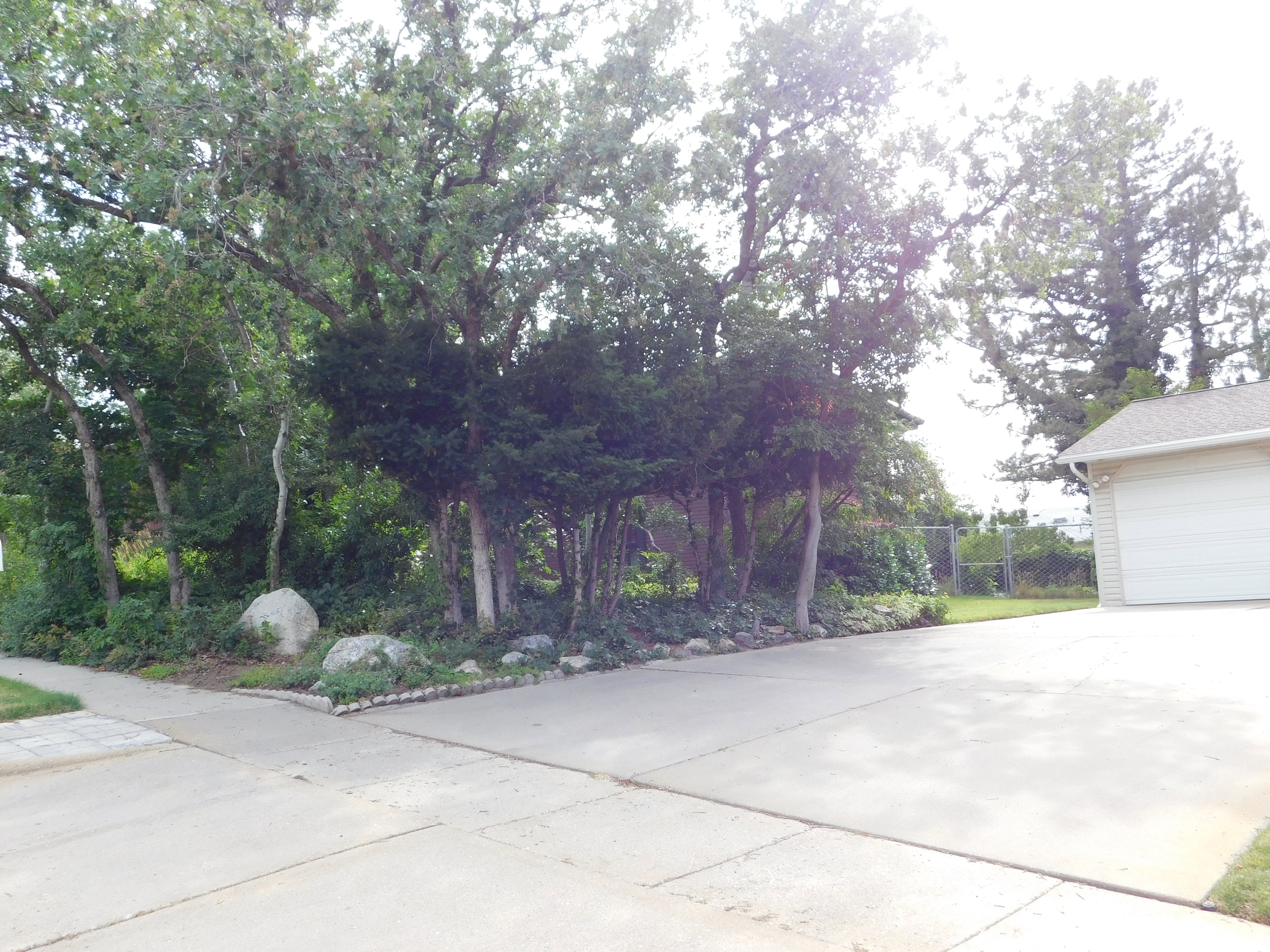 Concrete driveway offering vehicular access