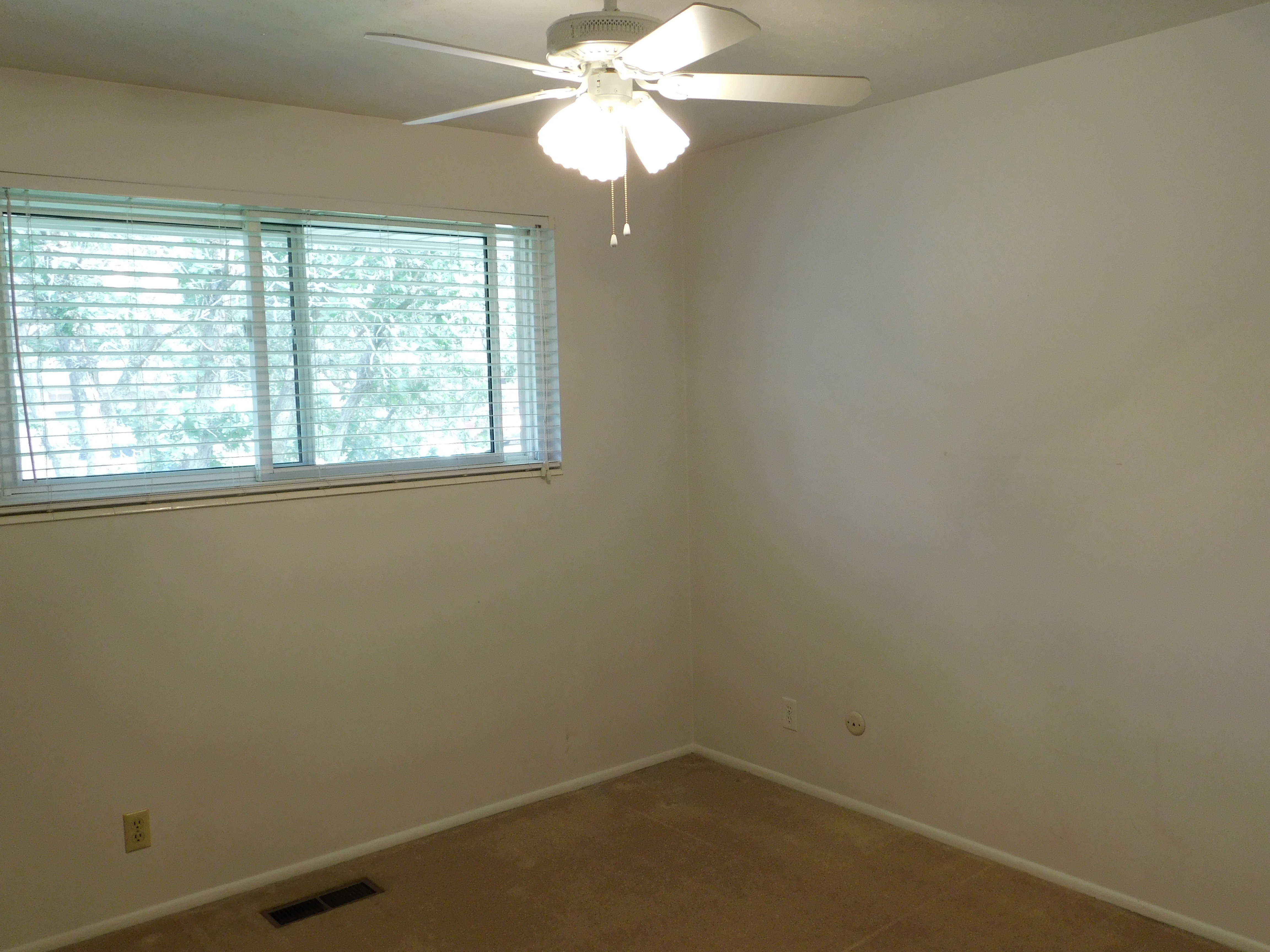 Neutral wall tones, plush carpeting, and a window with horizontal blinds