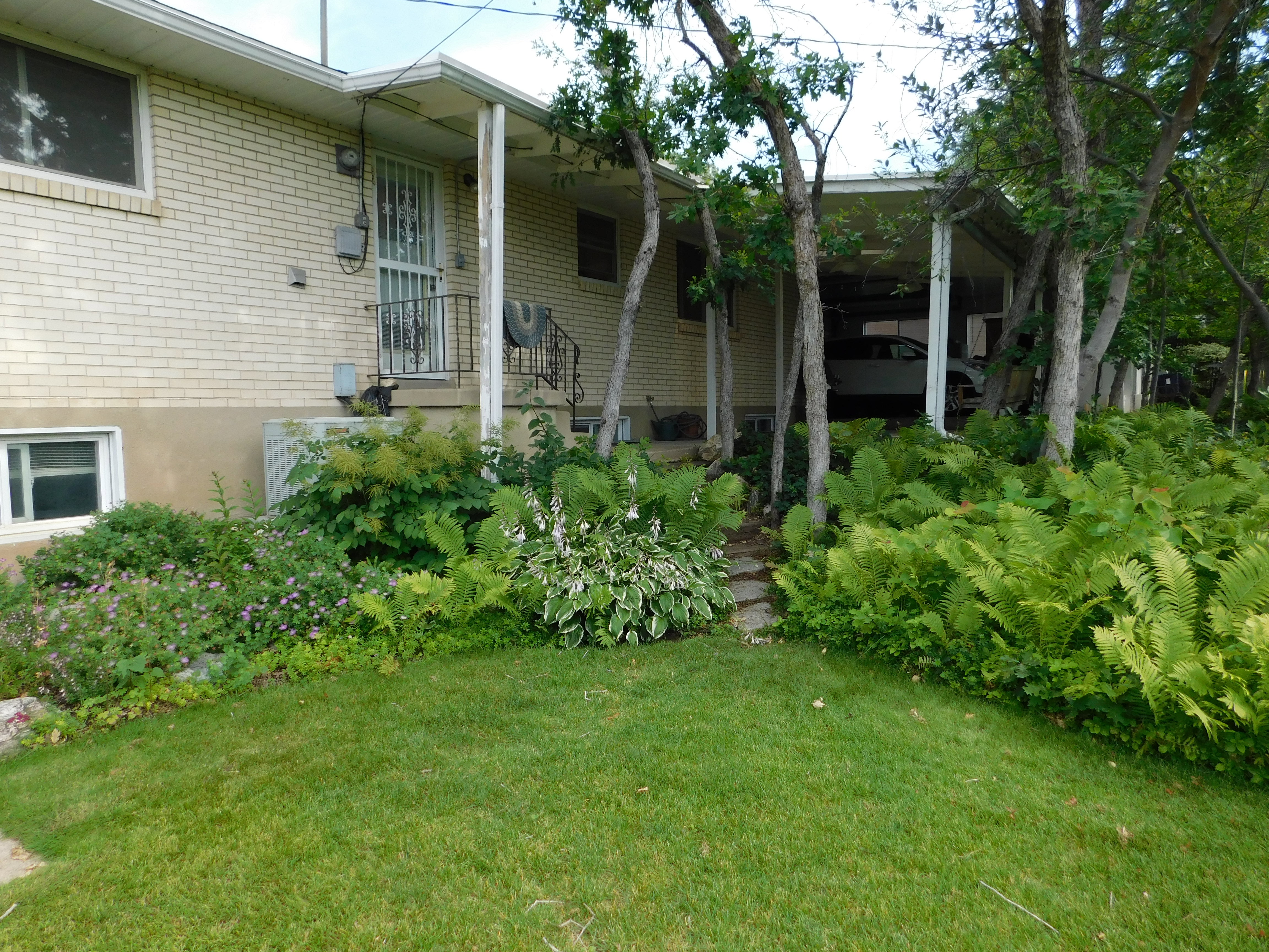 Mature front yard featuring a manicured lawn, established landscaping, and a flagstone pathway