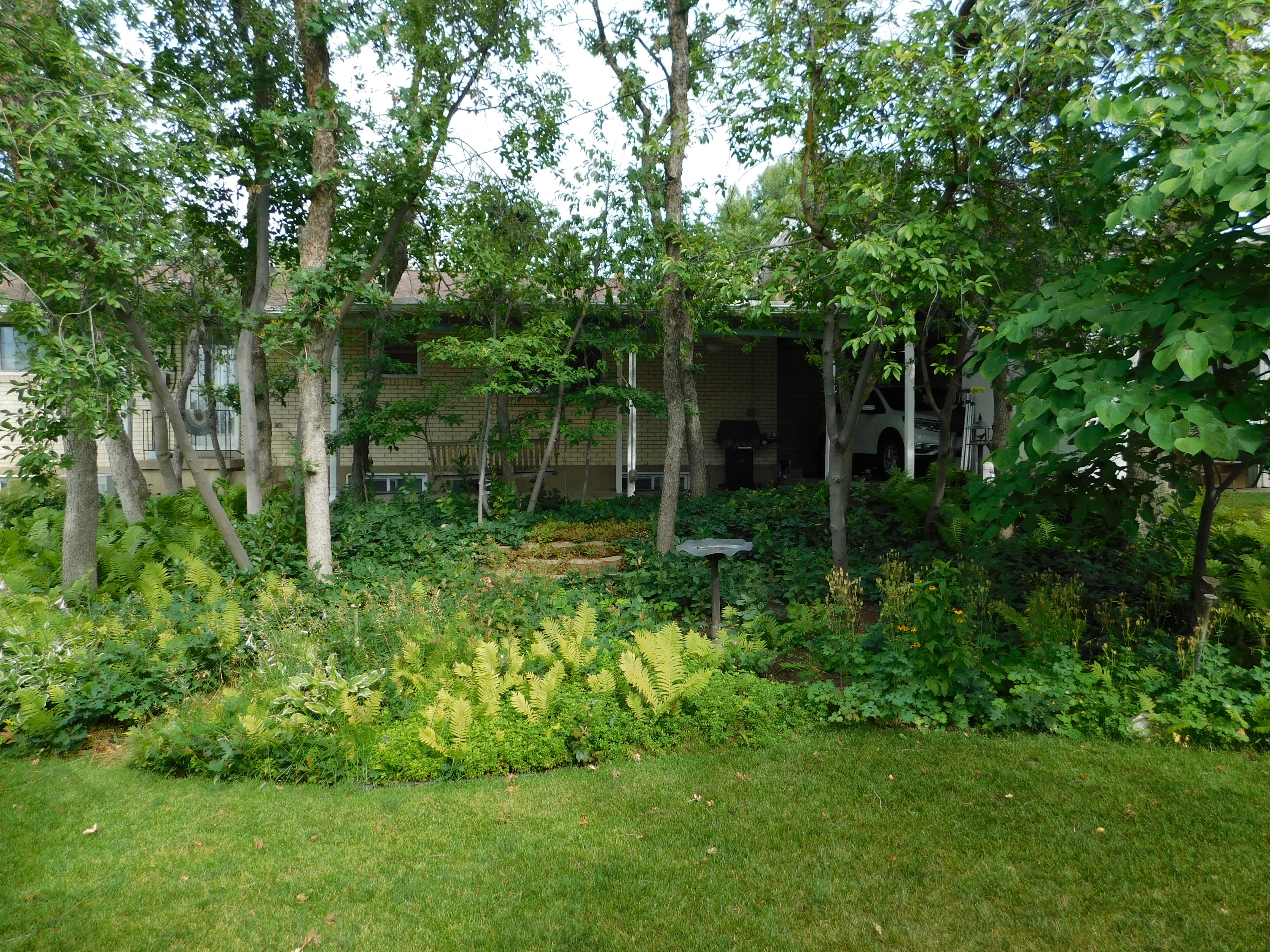 Lush, mature trees border a verdant lawn, creating a private outdoor setting