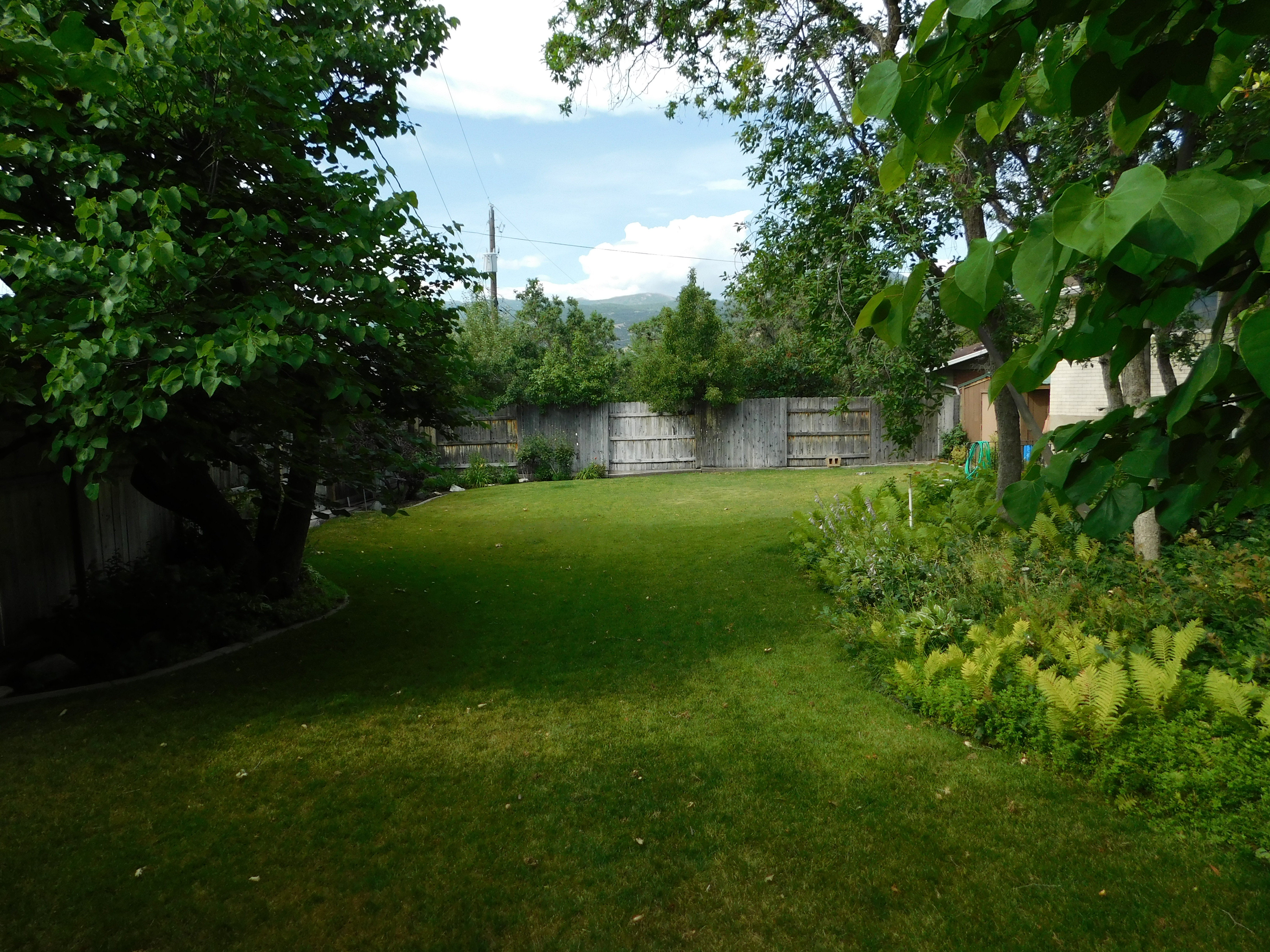 Spacious backyard featuring a manicured lawn, established perimeter landscaping, and a privacy fence