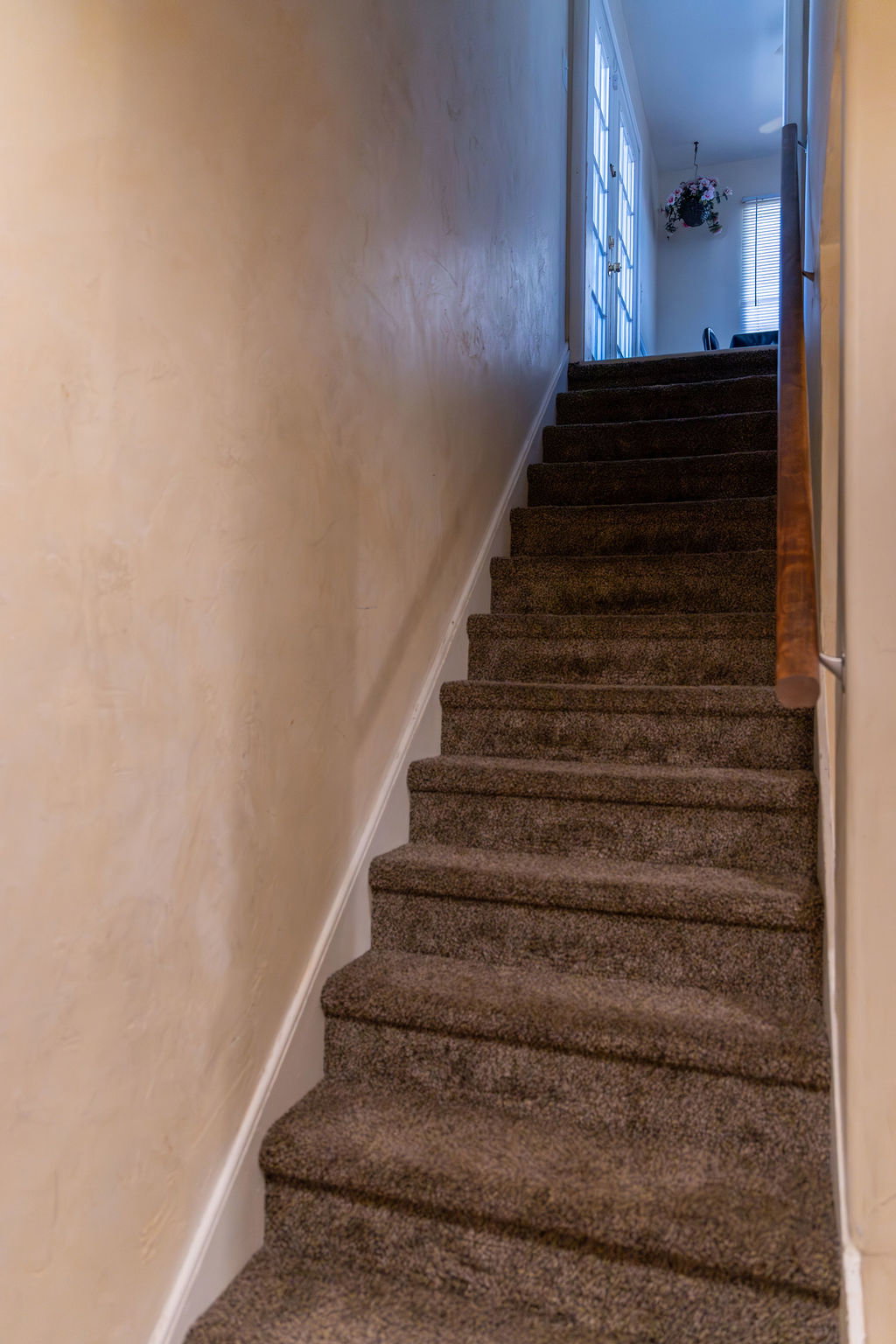 Carpeted staircase featuring a wood handrail, white trim, and textured wall finish