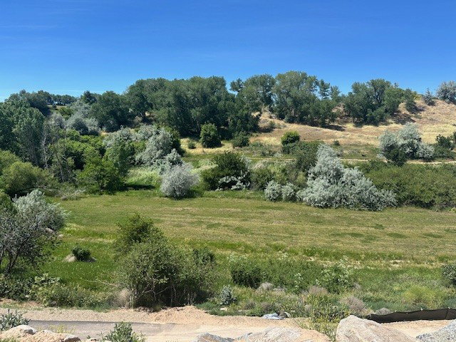 Backyard facing West
