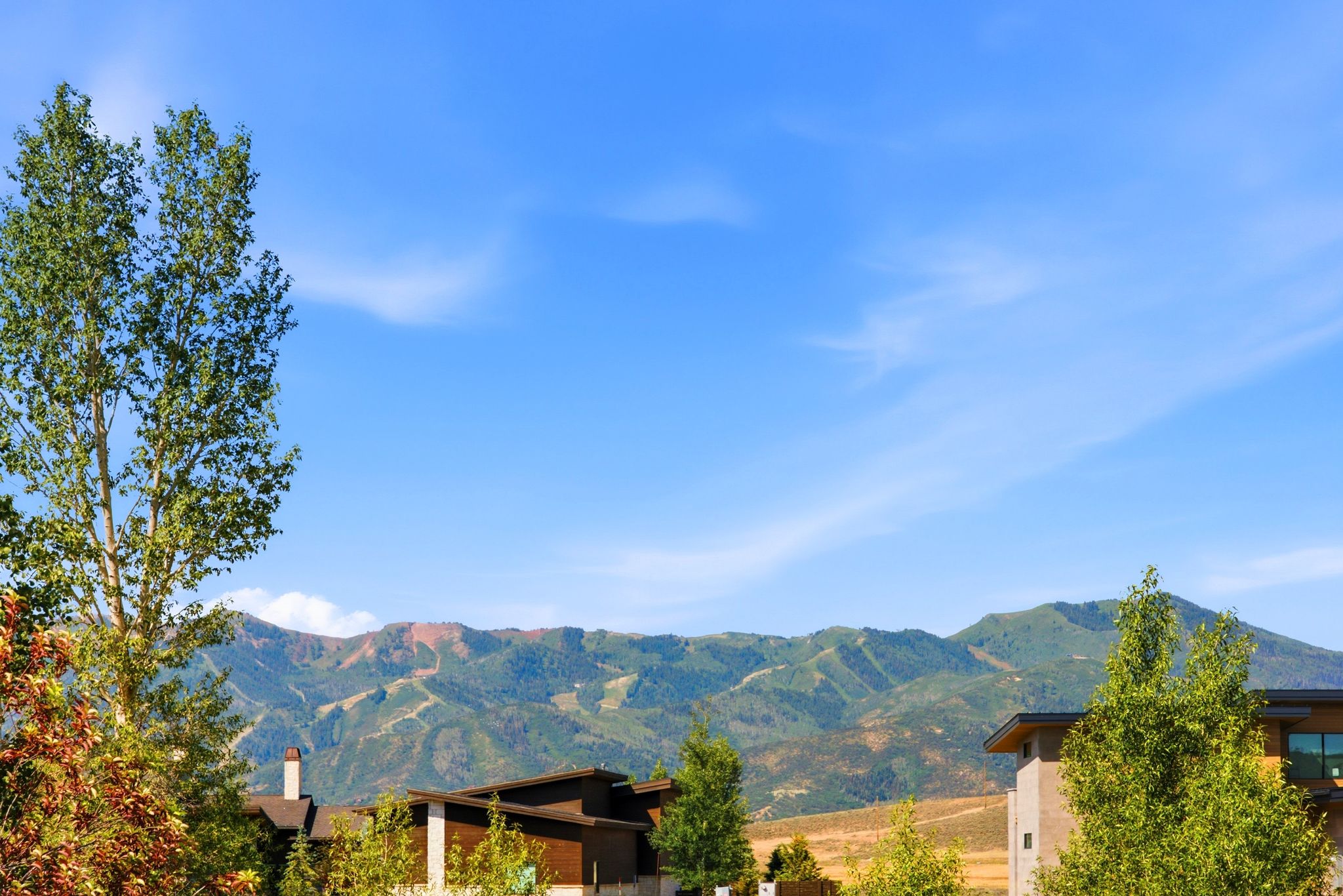 Mountain backdrop featuring mature trees and a clear blue sky
