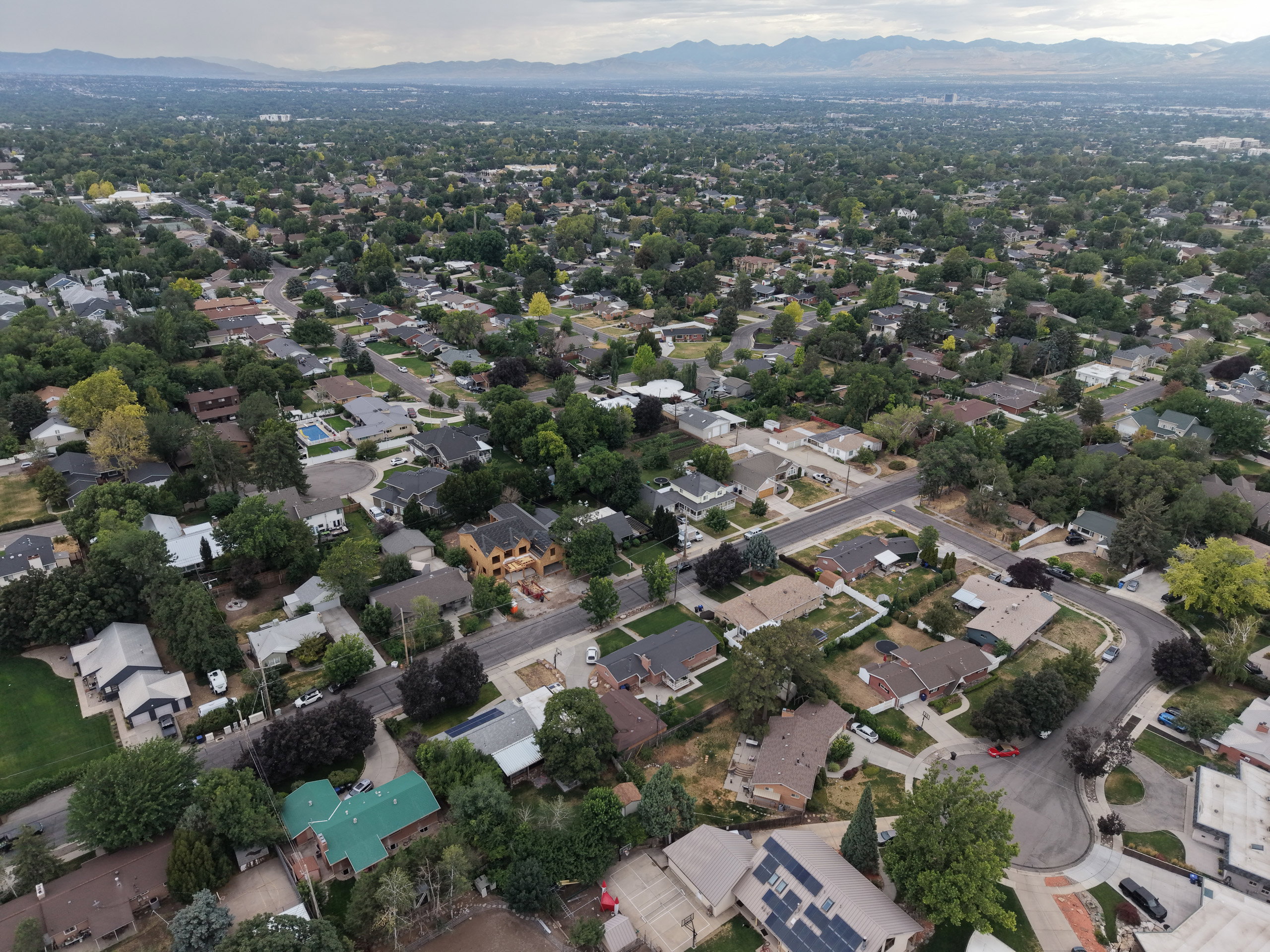 Aerial perspective showcasing a residential neighborhood with numerous single-family homes, mature tree canopy, and curving streets