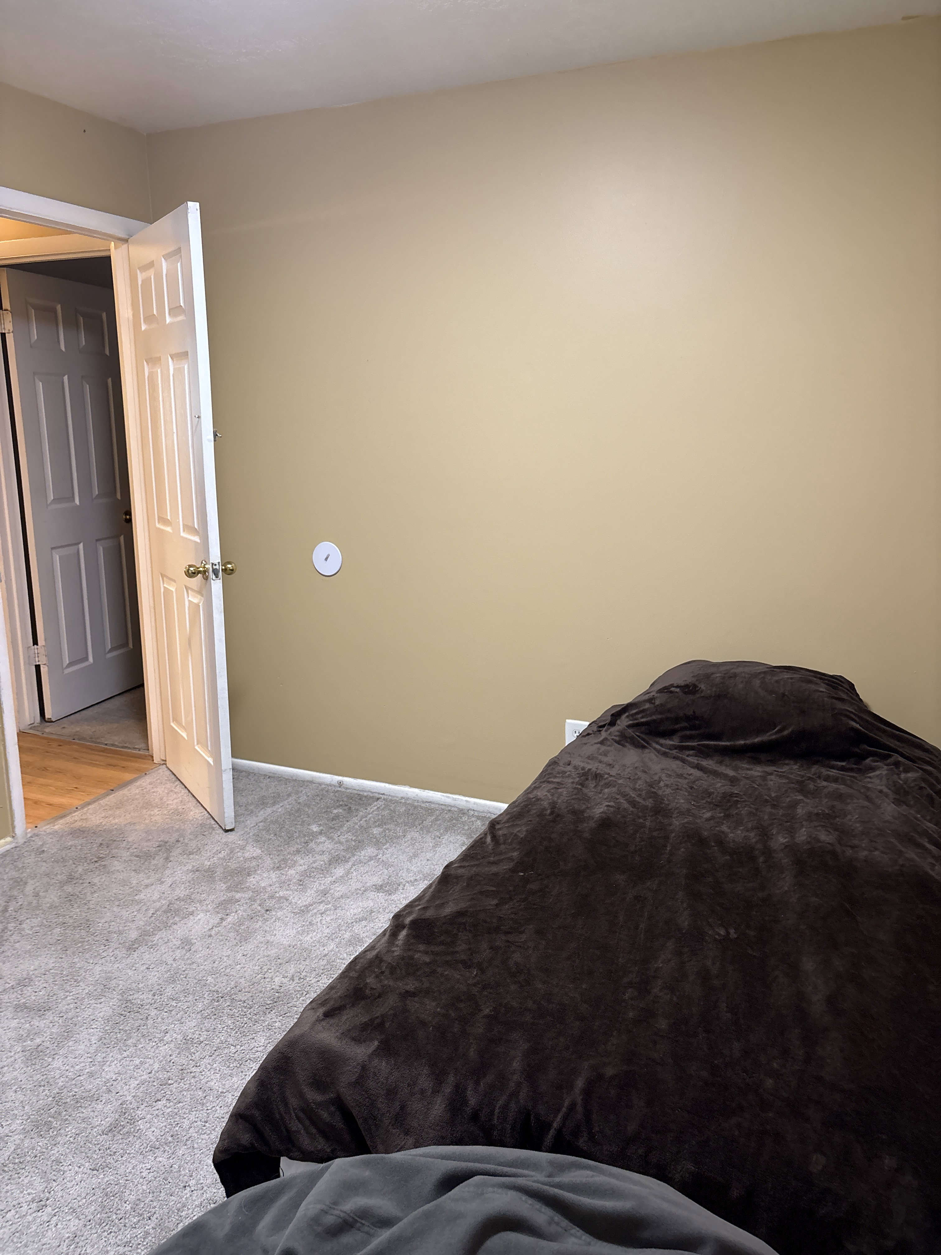 Neutral-toned interior wall with a white electrical outlet