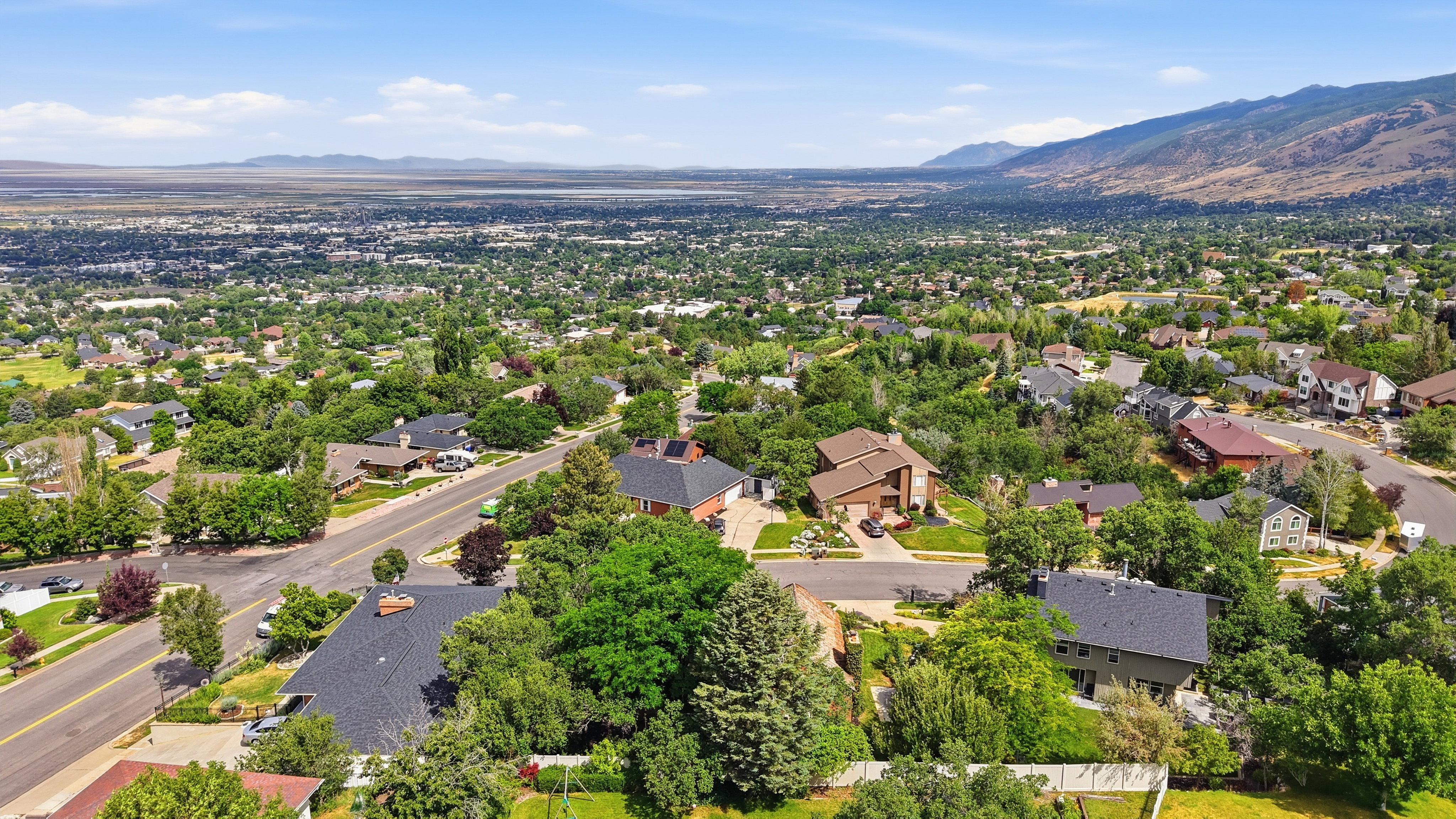 Expansive elevated neighborhood with mature trees and diverse residential architecture
