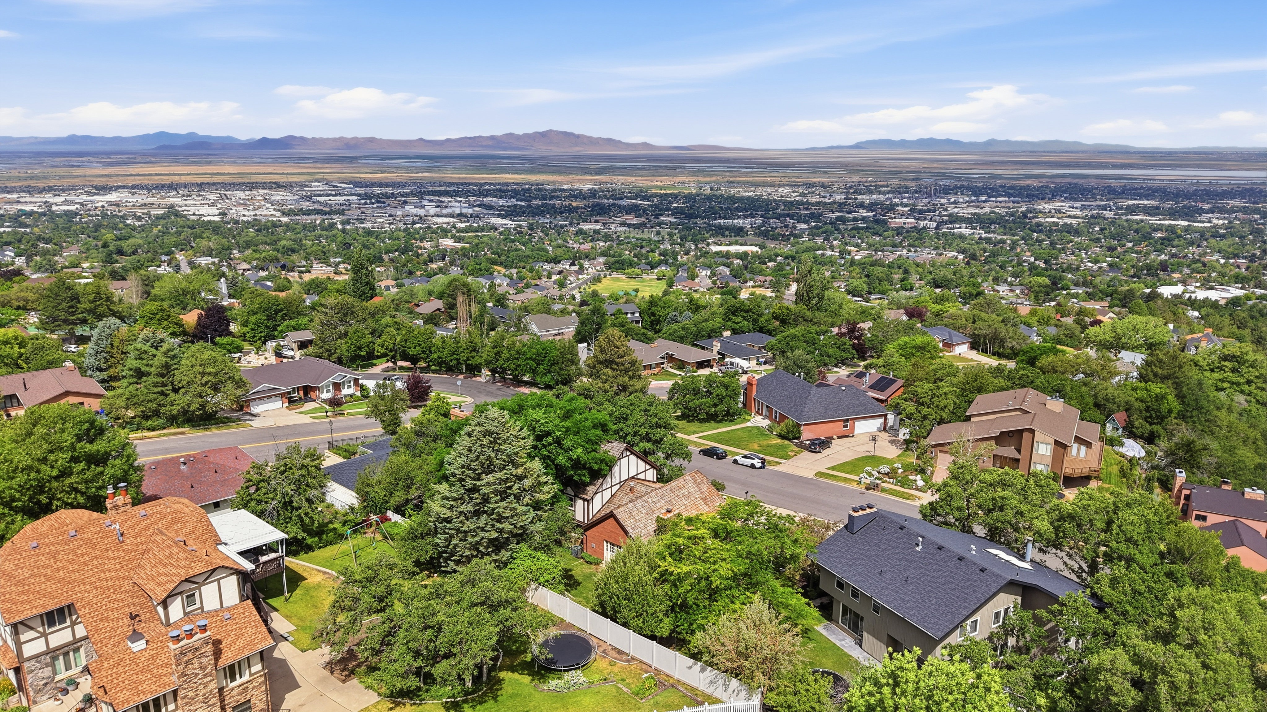 Panoramic aerial perspective showcasing a residential area with varied architectural styles, mature trees, and a distant cityscape framed by mountains