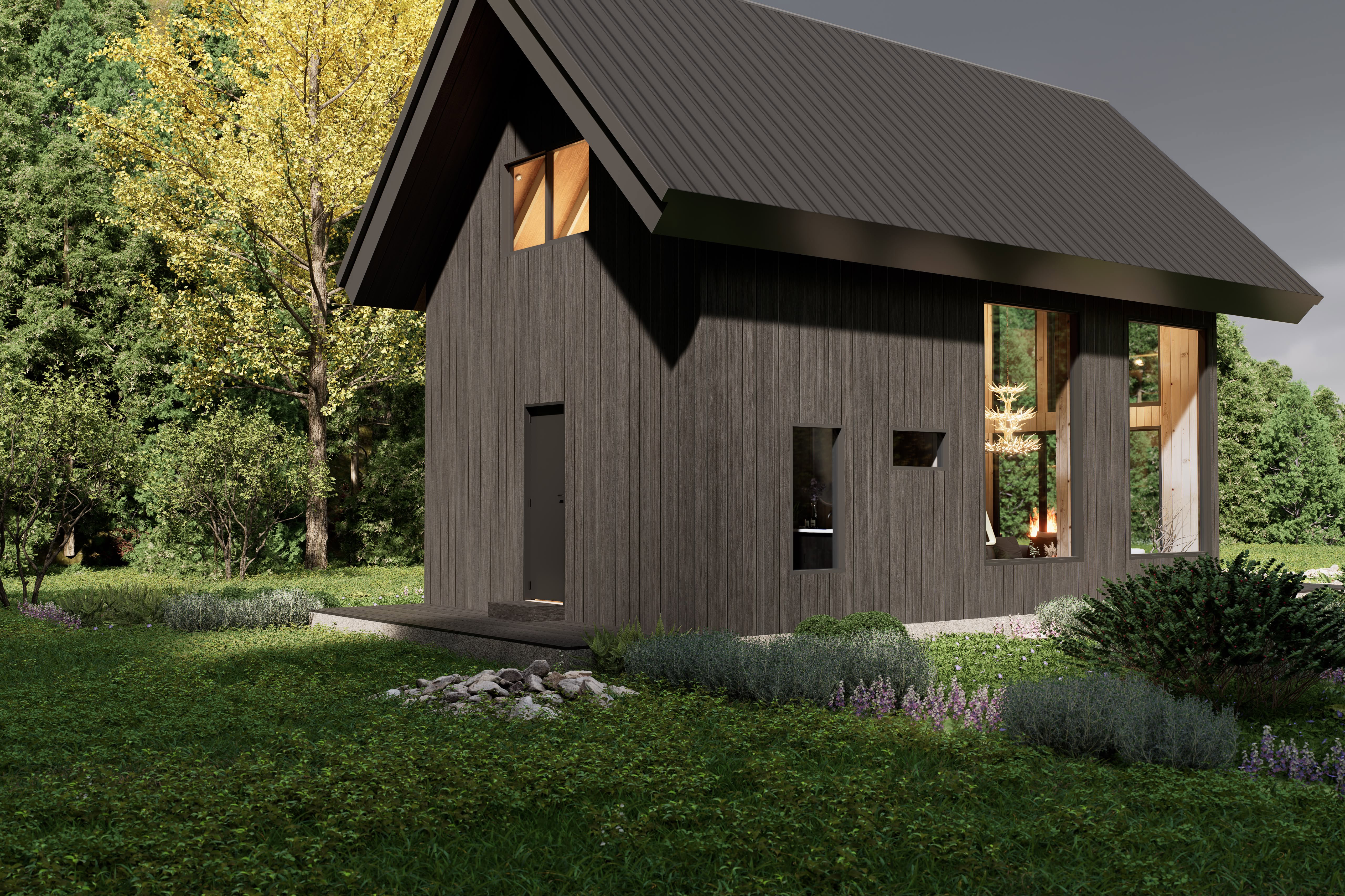 Mountain modern design featuring sleek black siding, clean architectural lines, and a low-maintenance exterior.