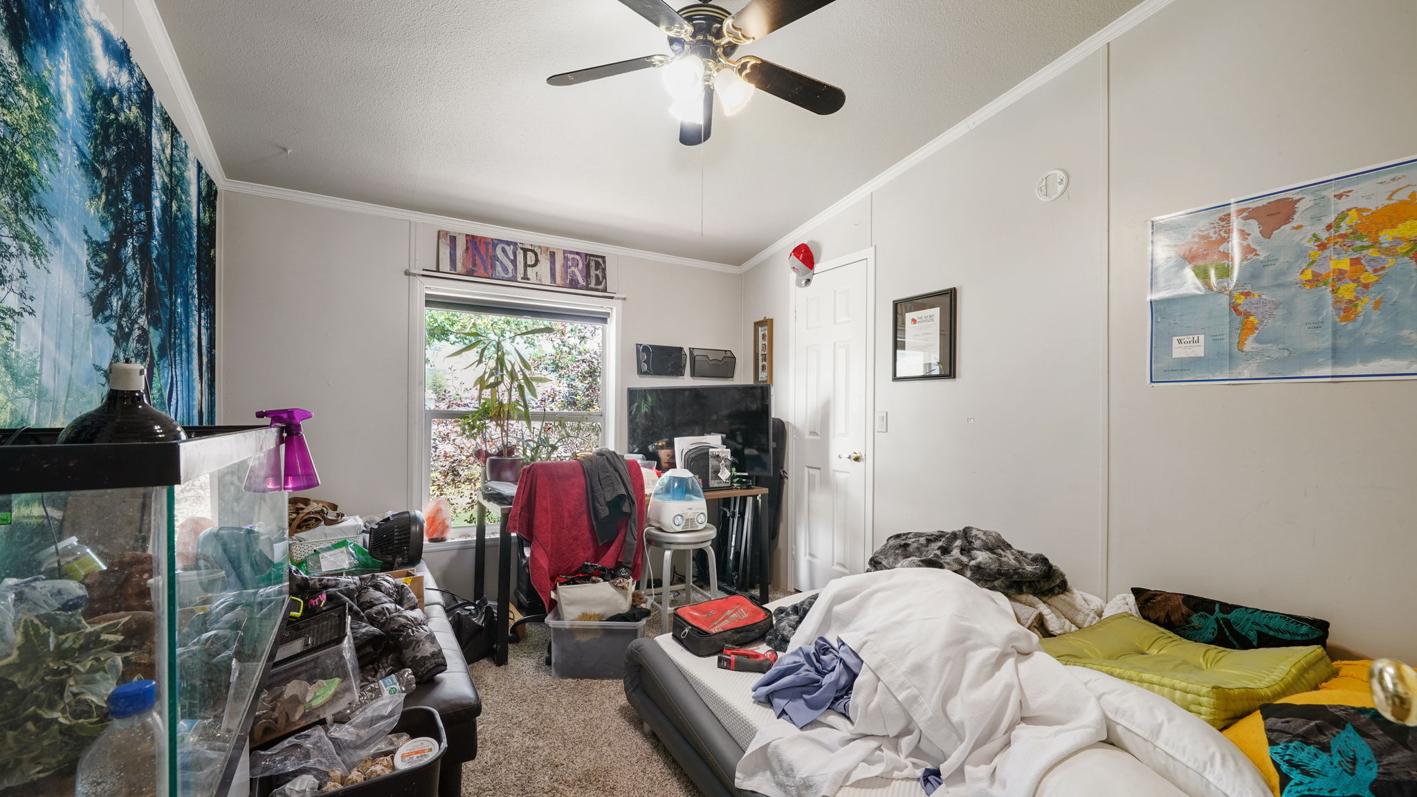 Room featuring neutral wall paneling, a large window, and a ceiling fan with integrated lighting