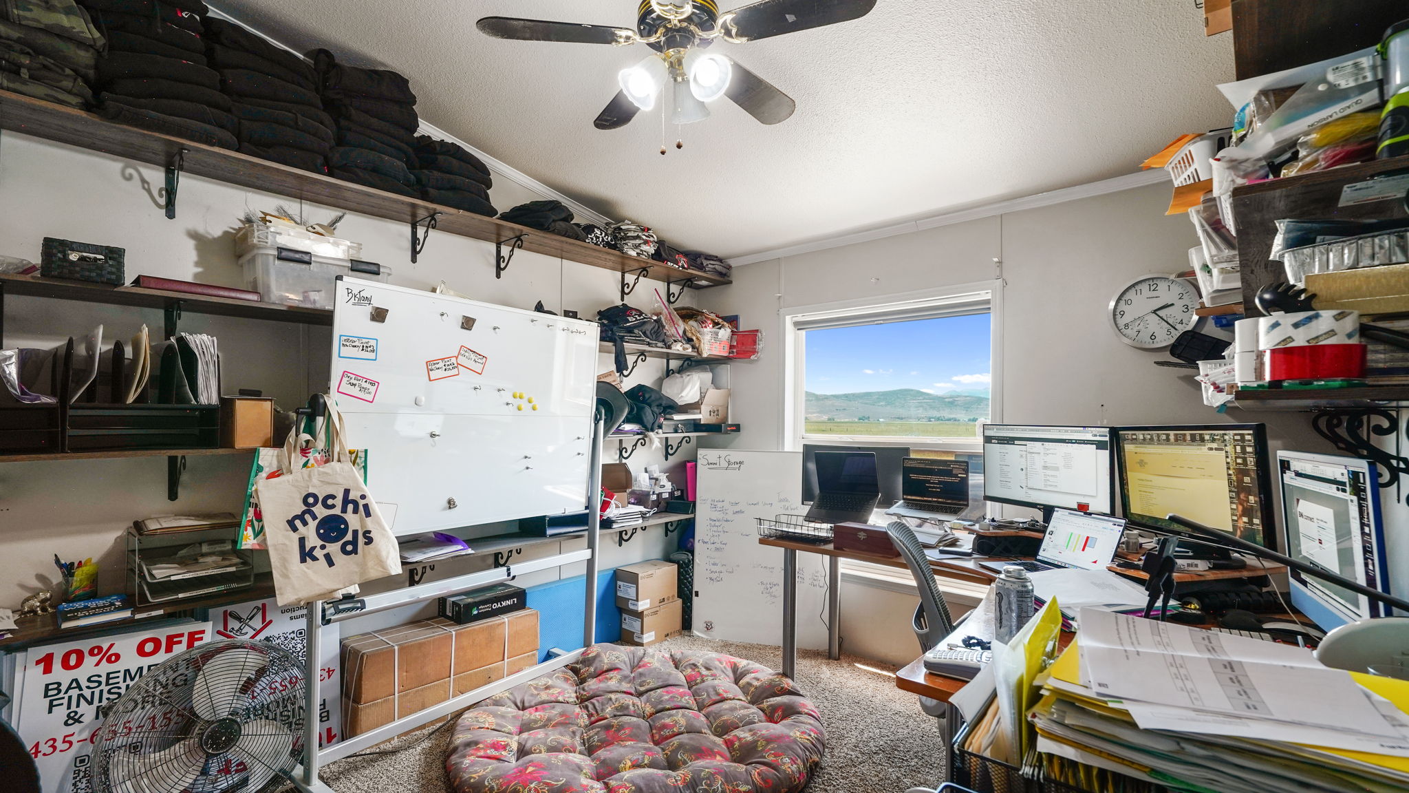 Room featuring a window with distant mountain scenery, overhead ceiling fan, and multiple wall-mounted shelving units