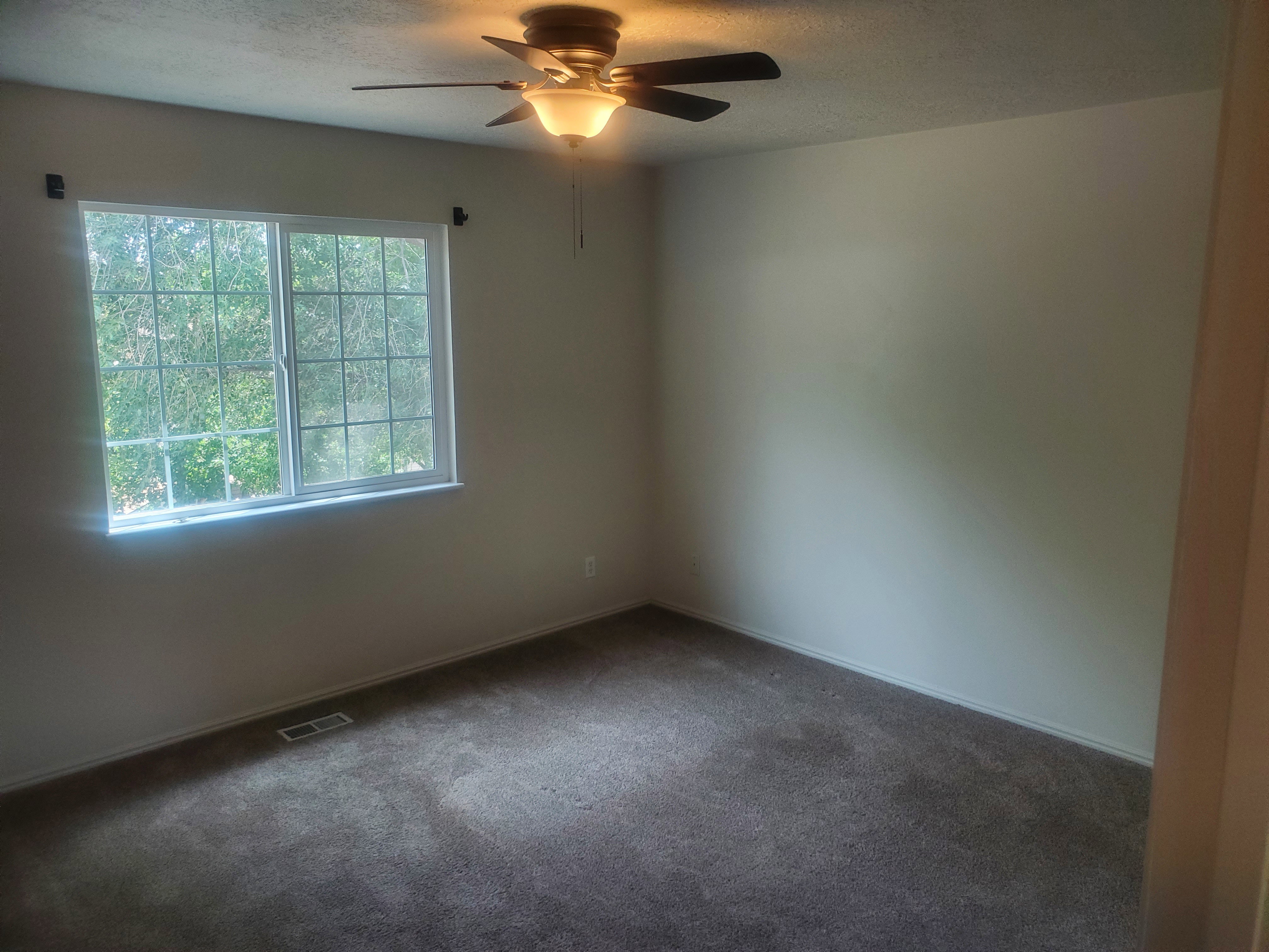 Neutral wall finishes and dark pile carpeting
