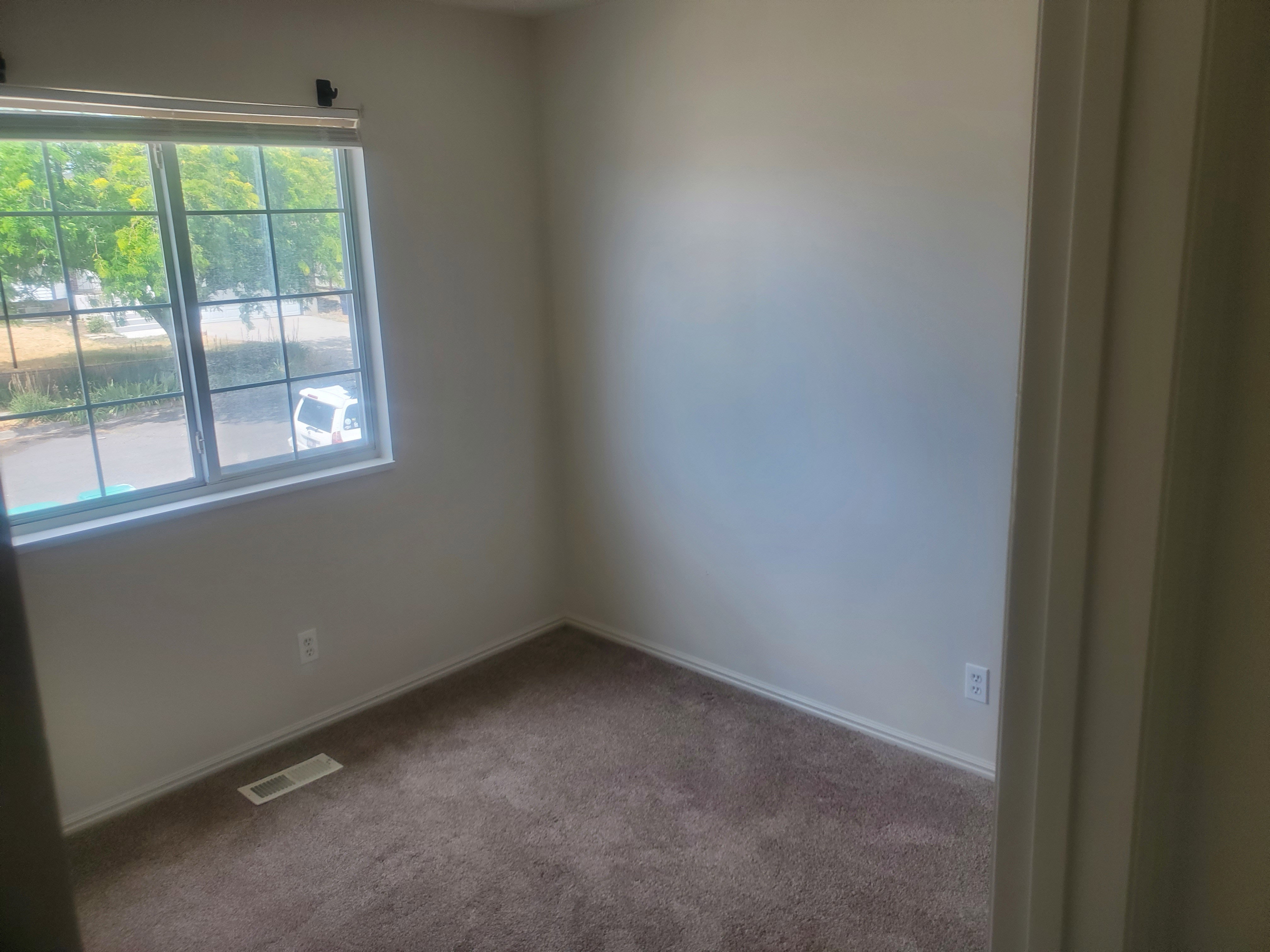 Carpeted room with a multi-pane window and white trim