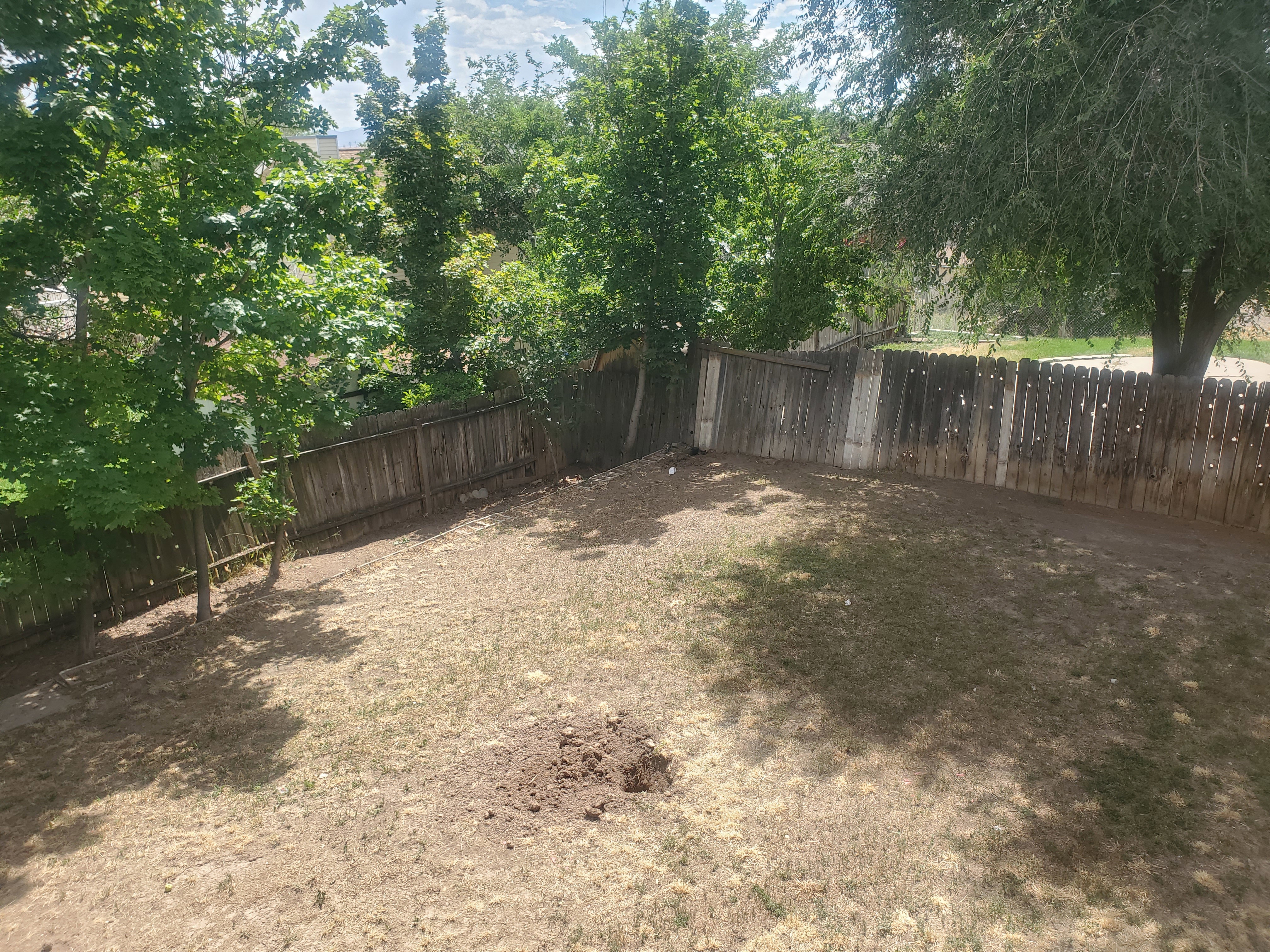 Expansive backyard featuring a wood fence perimeter and mature trees providing natural shade