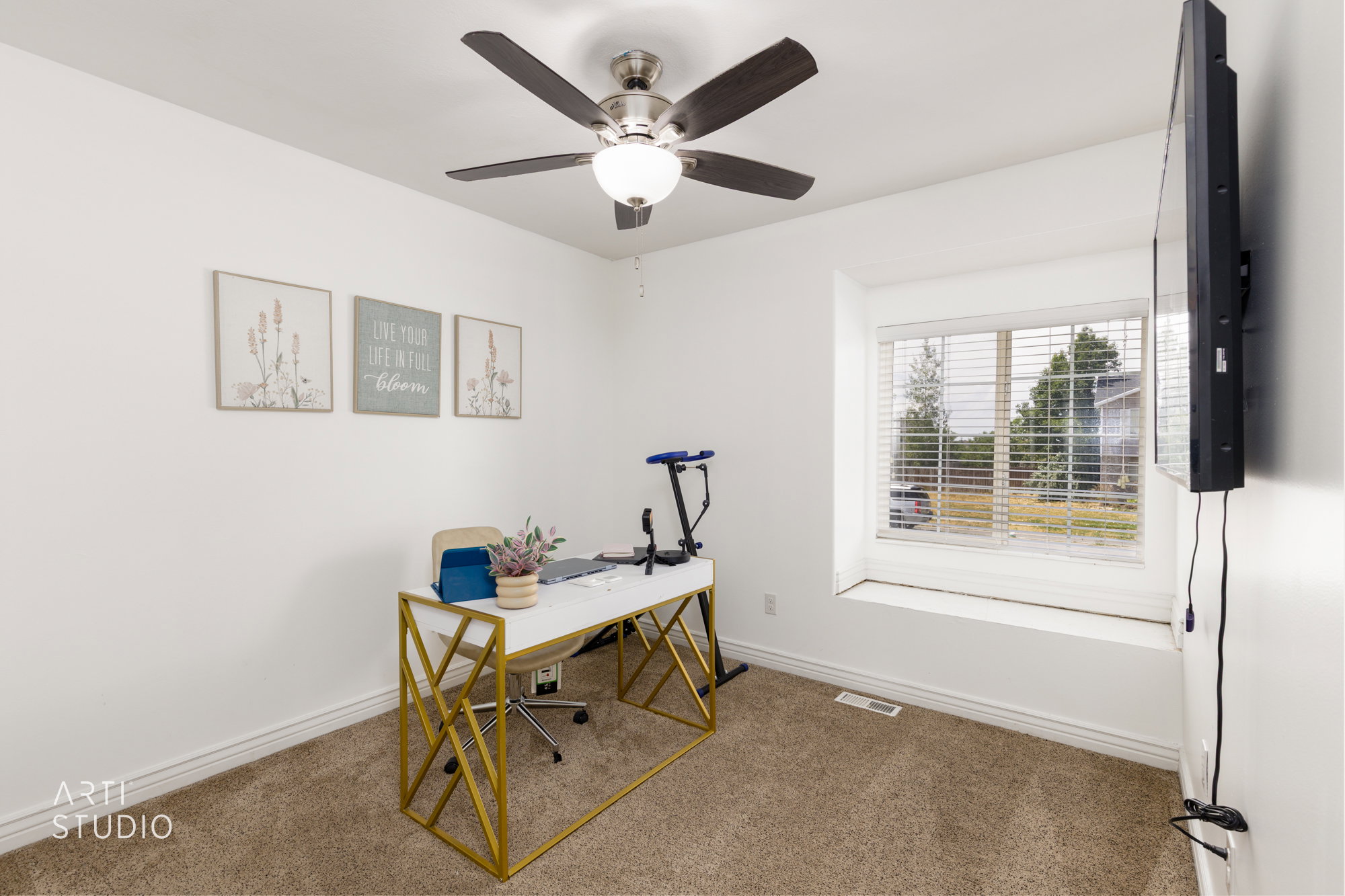 Bright room featuring a ceiling fan with light fixture, carpet flooring, and a large window with horizontal blinds and a deep sill