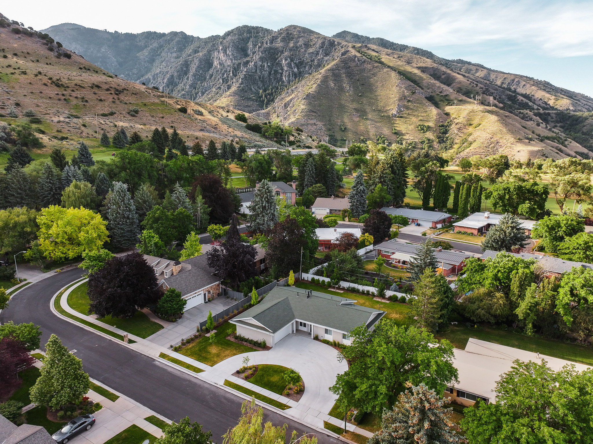Street-facing property with a curved driveway, established landscaping, and a manicured lawn