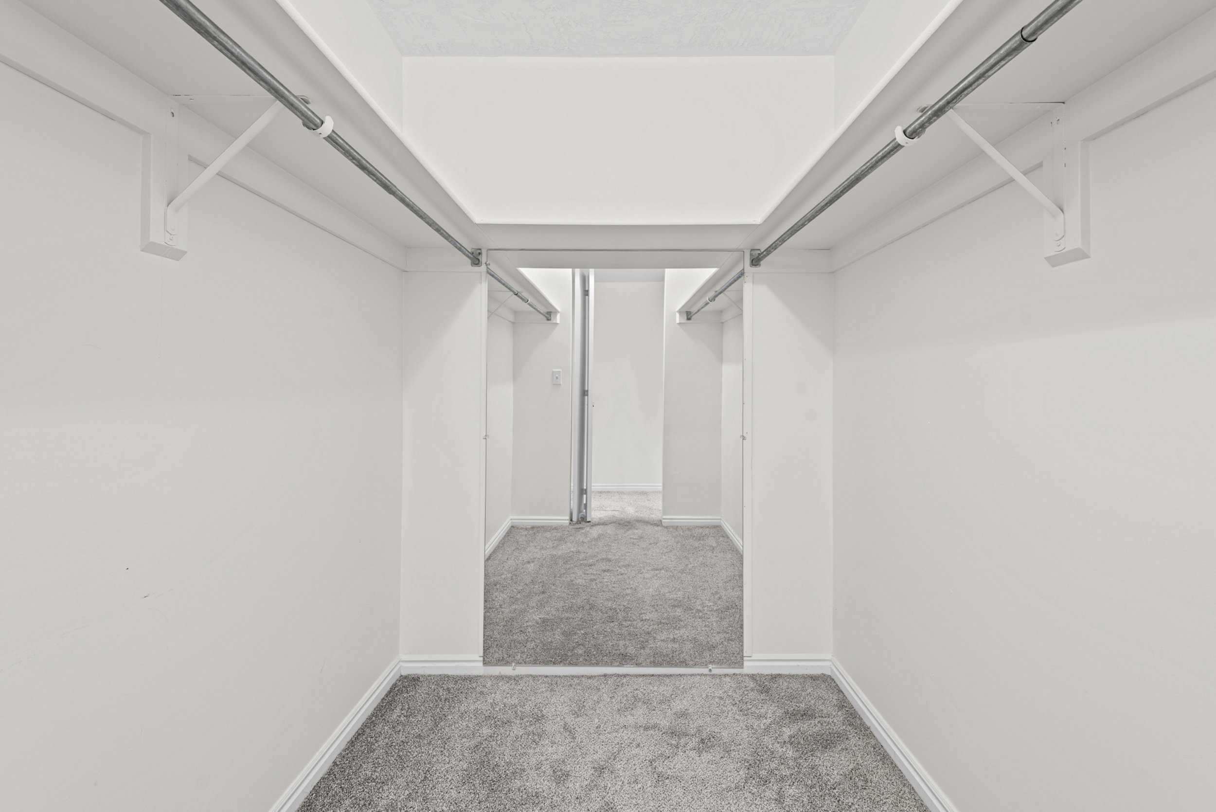 Walk-in closet featuring carpet flooring and white walls